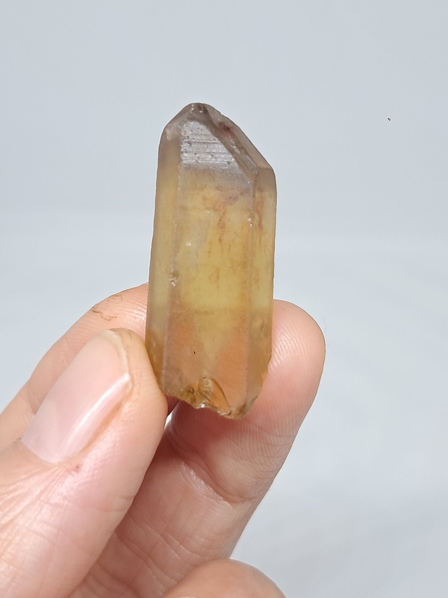Natural Citrine Crystal Point (Democratic Republic of Congo) #CTN31