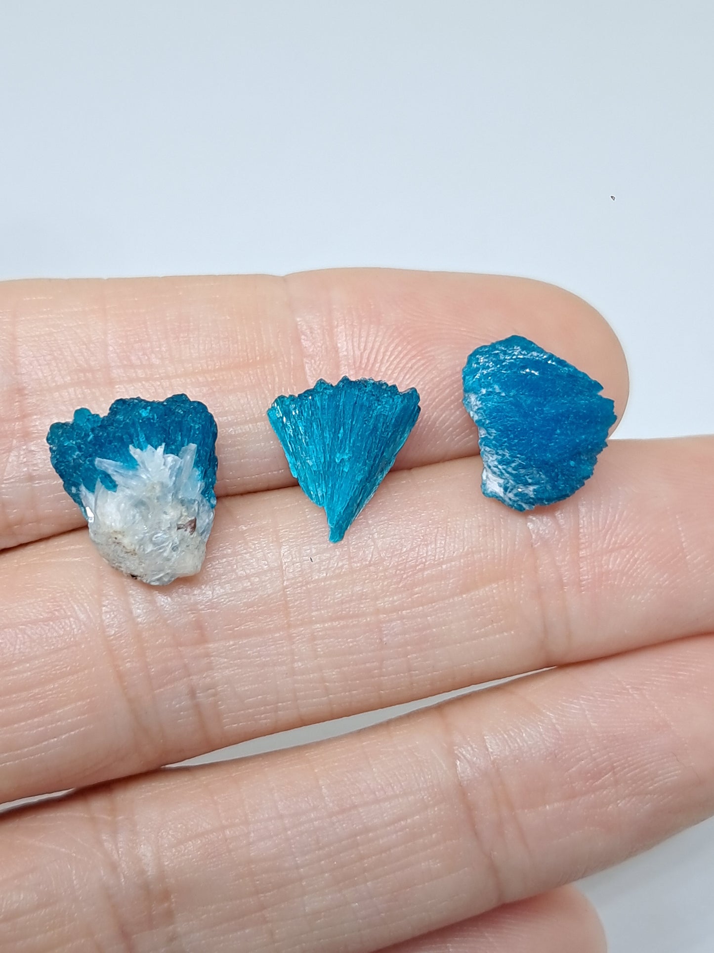 Conjunto de 3 cavansitas (wagholi) en bruto | Cristal natural | Ejemplar mineral raro n.° CV43