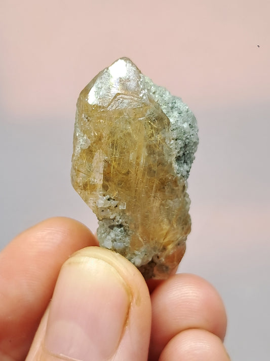Quartz w/ Chlorite and Golden Rutile Inclusions (Kullu) Rough Stone | Natural Crystal Point | Mineral Specimen #CH42