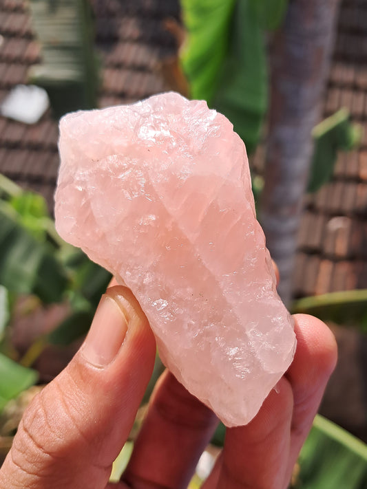 Rose Quartz (Rajasthan) Rough Stone | Natural Gemstone #RQ9