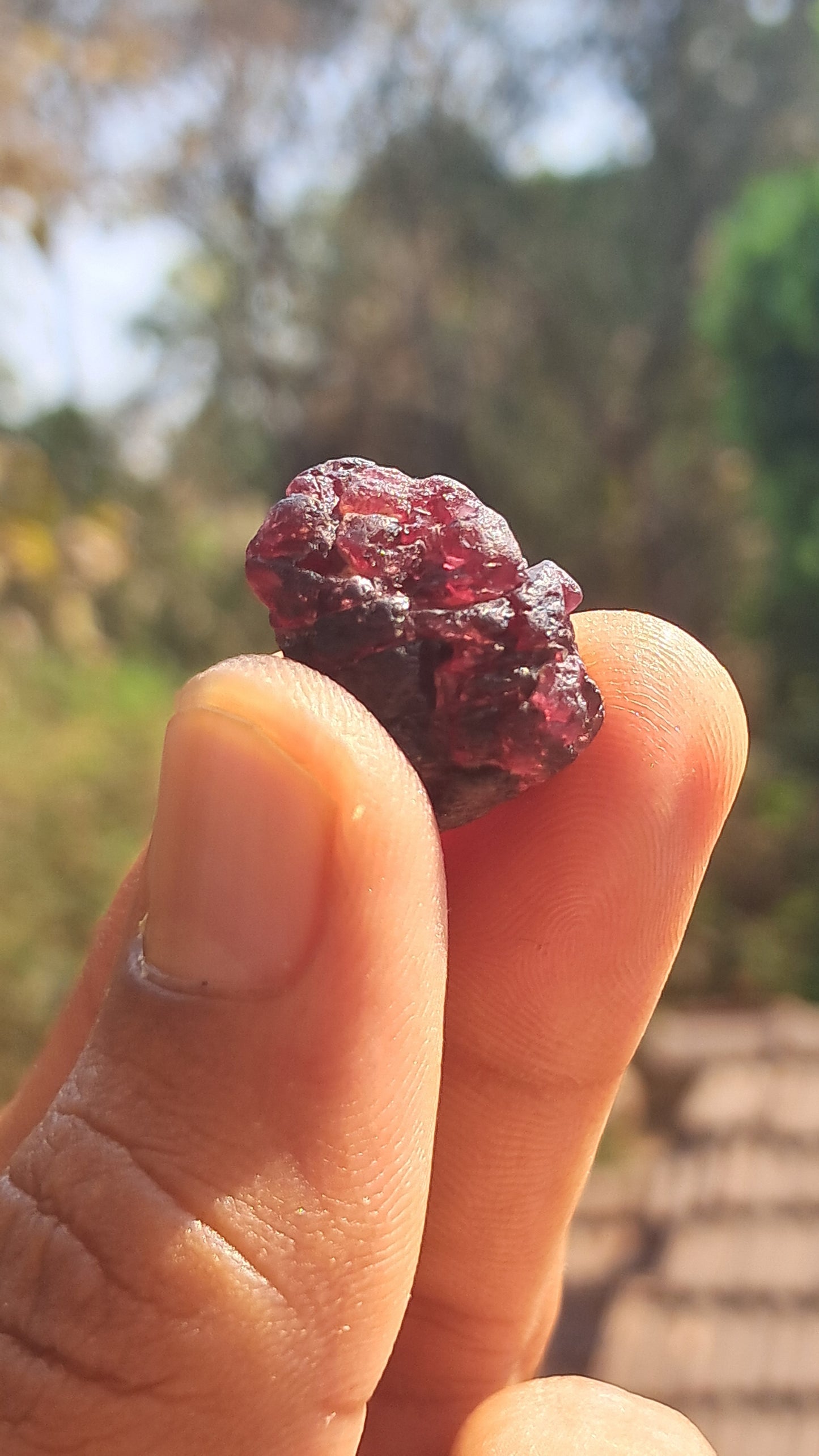 Granate rojo (Karur) | Pulido por río | Piedra natural #RG5
