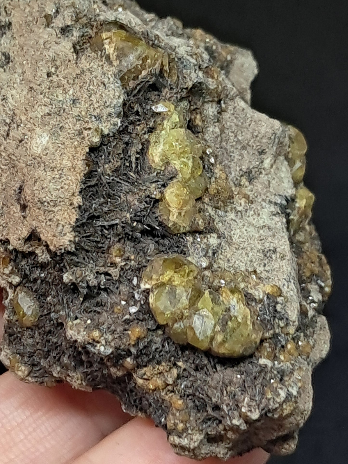 Green Garnet w/ Aegirine (Acmite) on Matrix (Mexico) Andradite Garnet Cluster |Rough Crystal Stone | Mineral Specimen #GR30