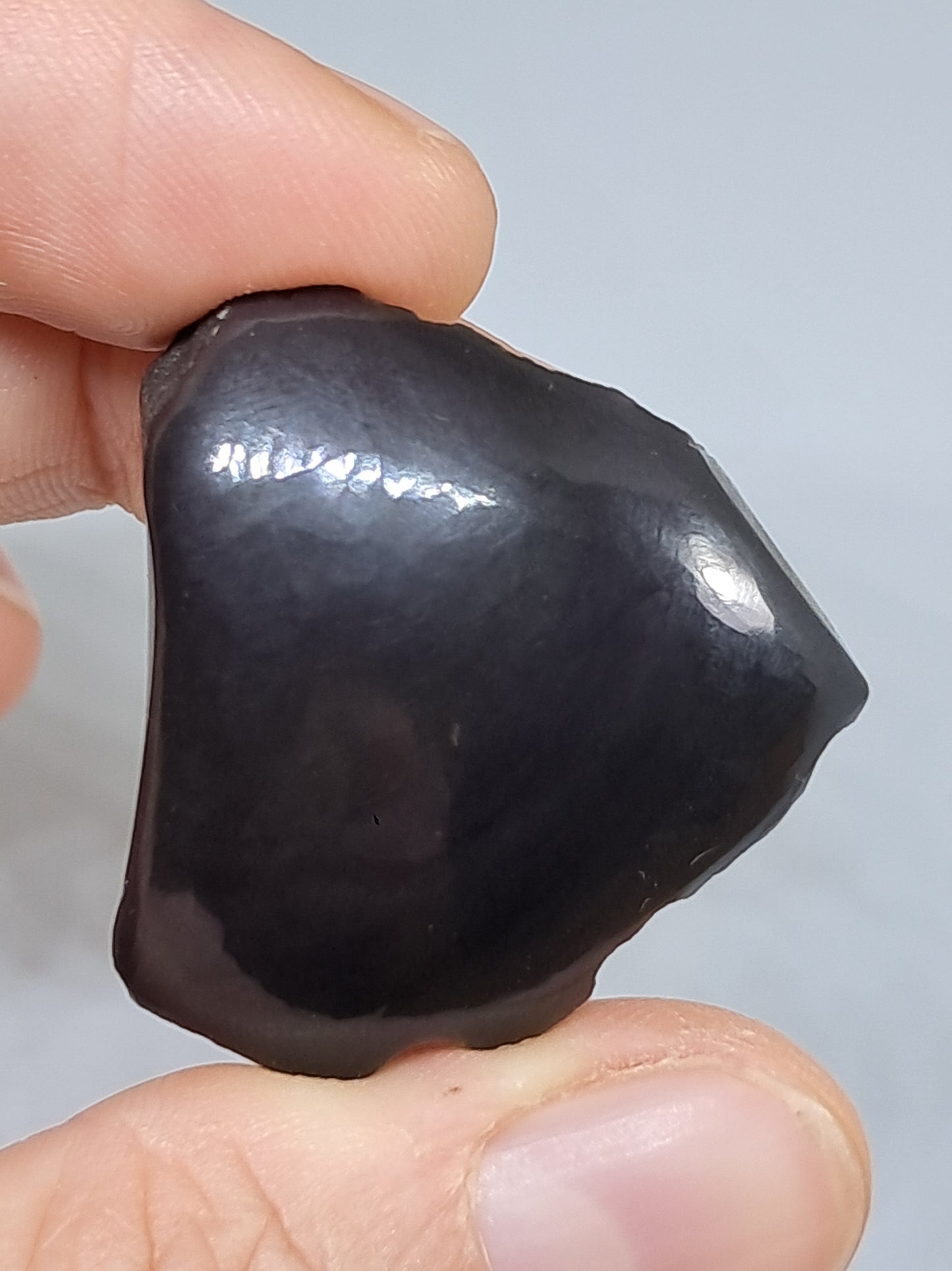 Rainbow Obsidian (Mexico) Natural Stone | Half Polished Half Rough #RO13