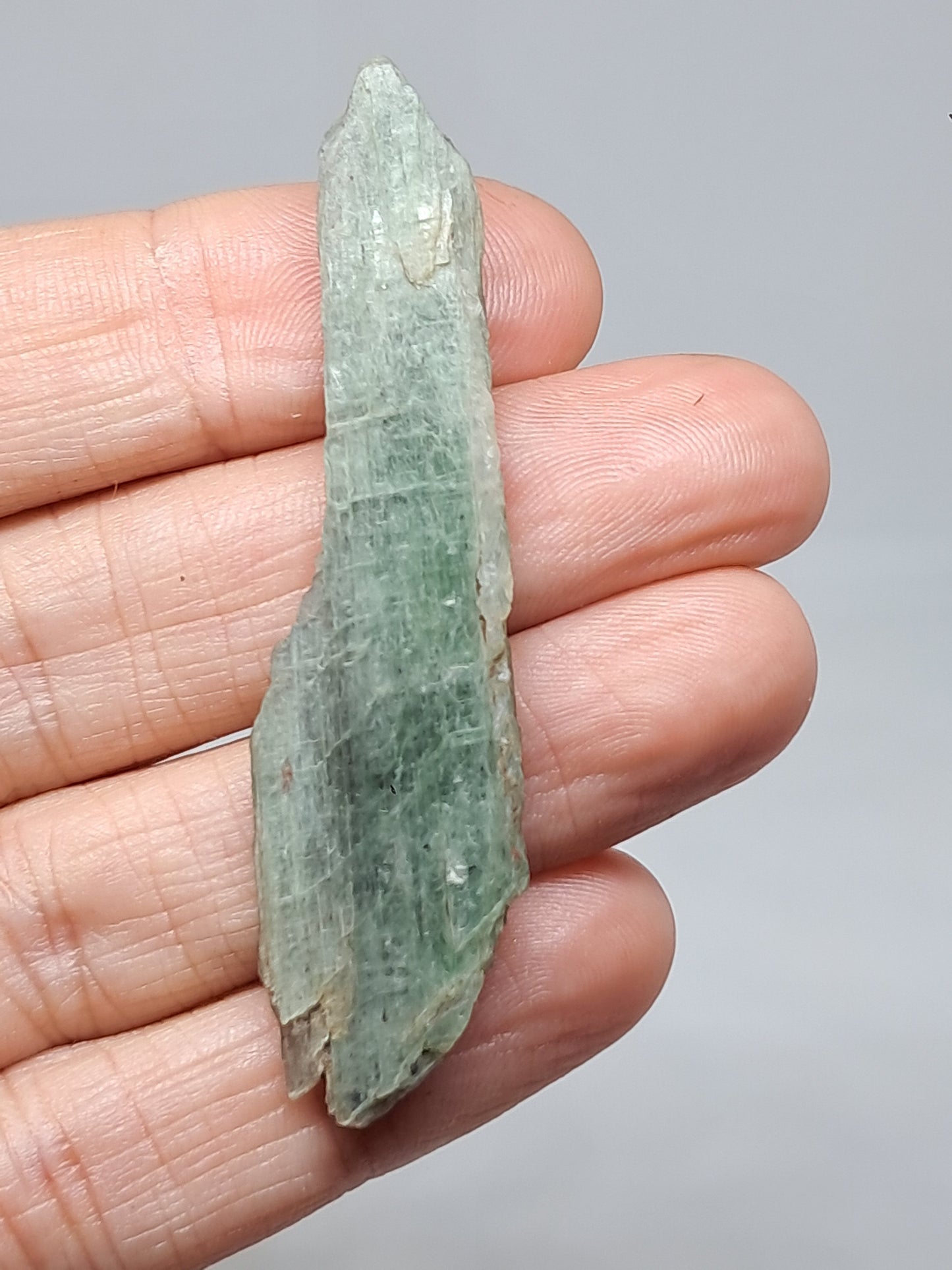 Green Kyanite (Tamil Nadu) Natural Crystal #KY9