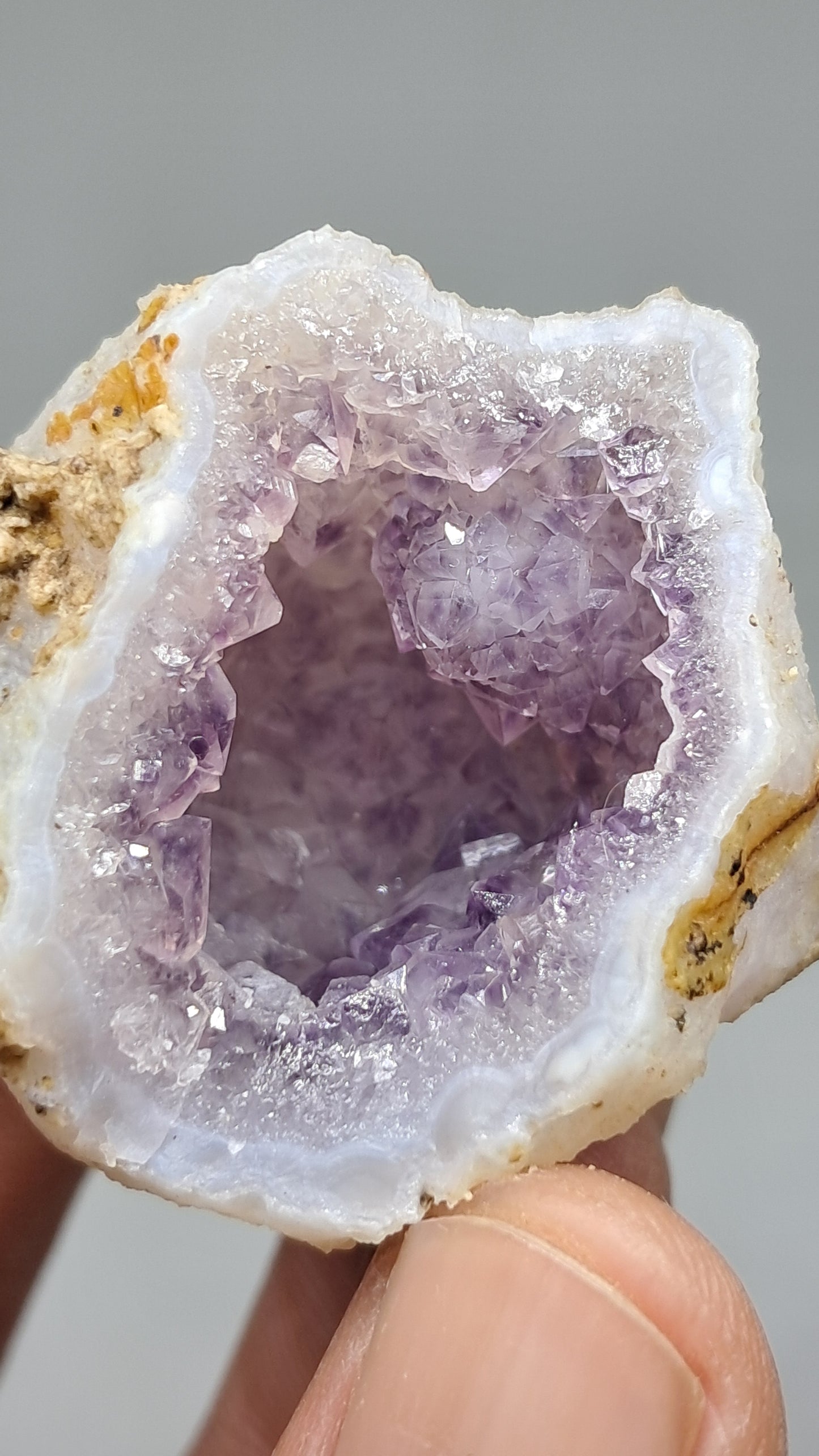 Geoda de amatista (Ajanta) | Cavidad profunda | Cristal natural | Piedra en bruto #GD28