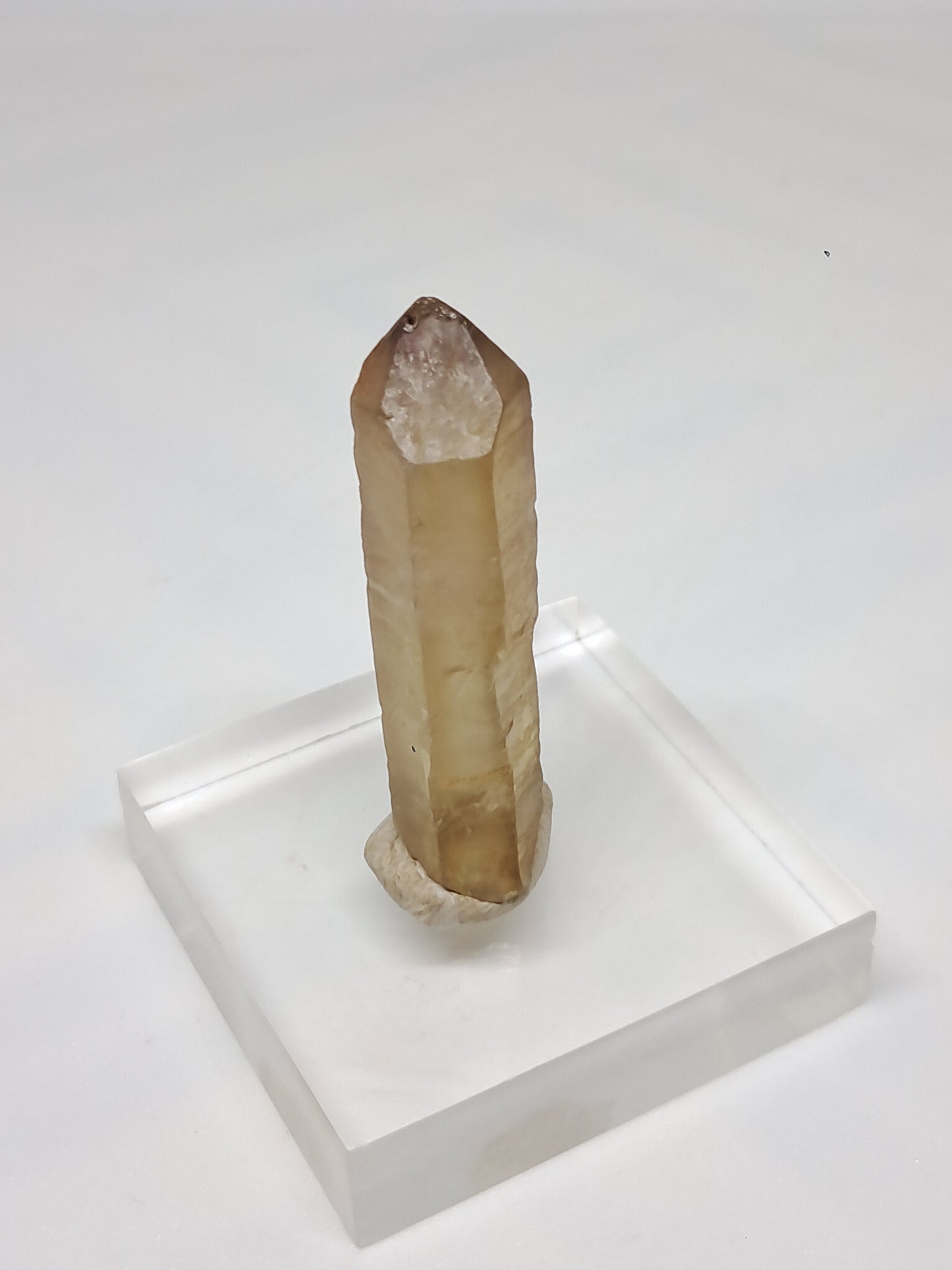 Natural Citrine Crystal Point (Democratic Republic of Congo) #CTN33