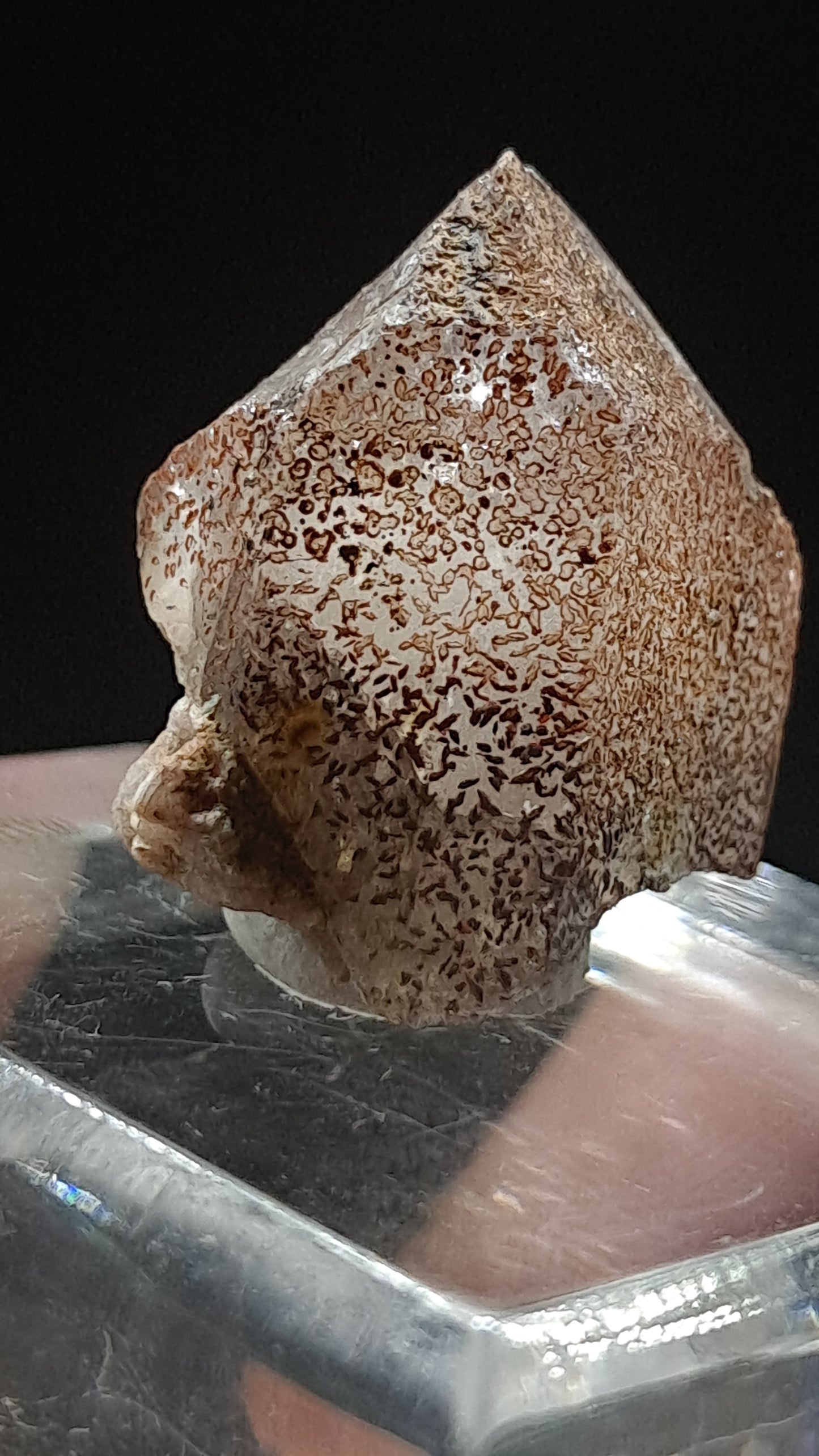 Smokey Elestial Quartz (Karur) Interesting Inclusions | Mineral Specimen #EQ31