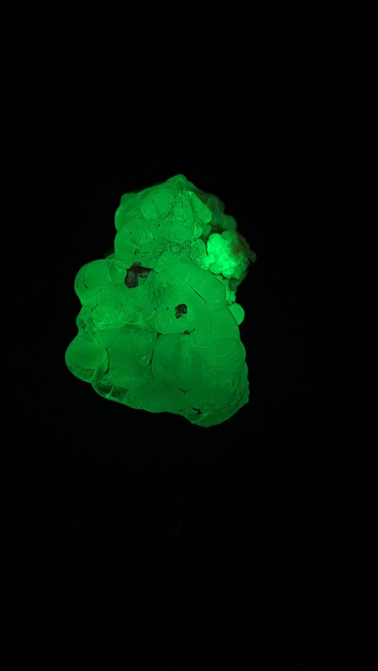 Hyalite Opal on Matrix (Mexico) Rough Crystal Stone | UV-Reactive Mineral Specimen #OH3