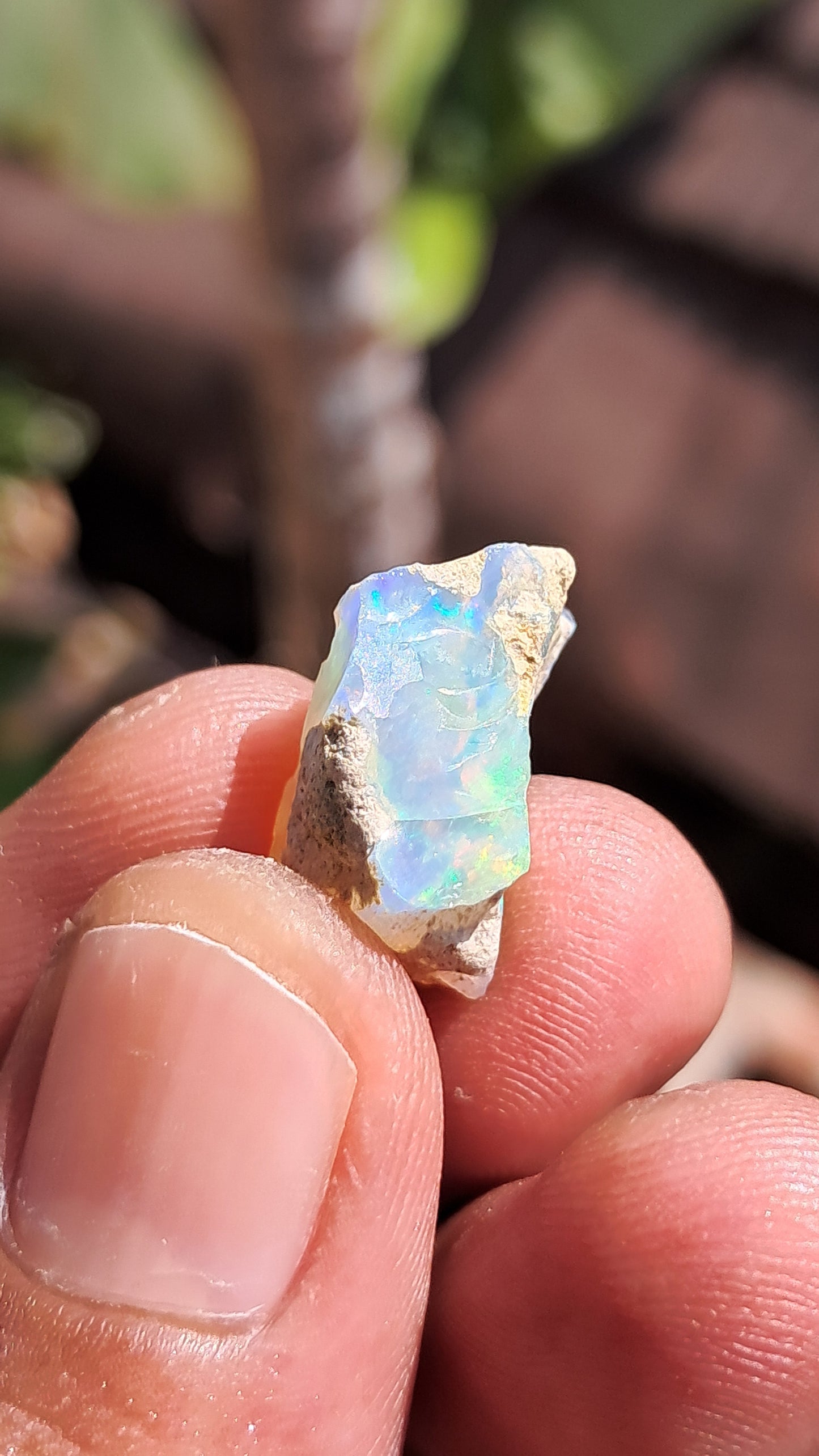 Natural Ethiopian Opal Rough | White Hydrophane Opal w/ Bright Play of Color #OP1