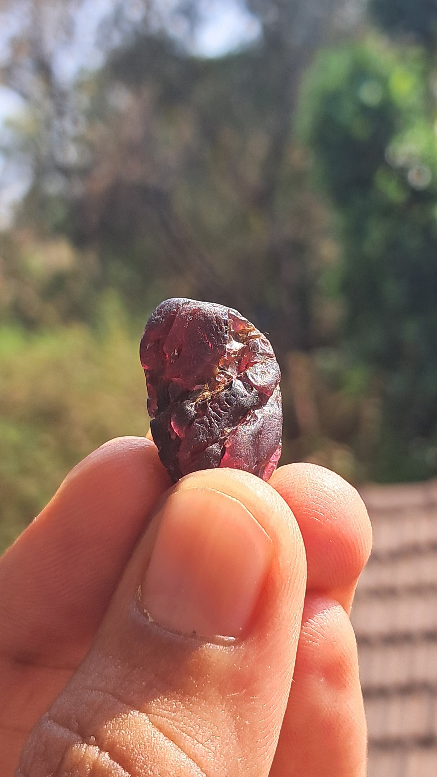 Granate rojo (Karur) | Pulido por el río | Piedra natural #RG9
