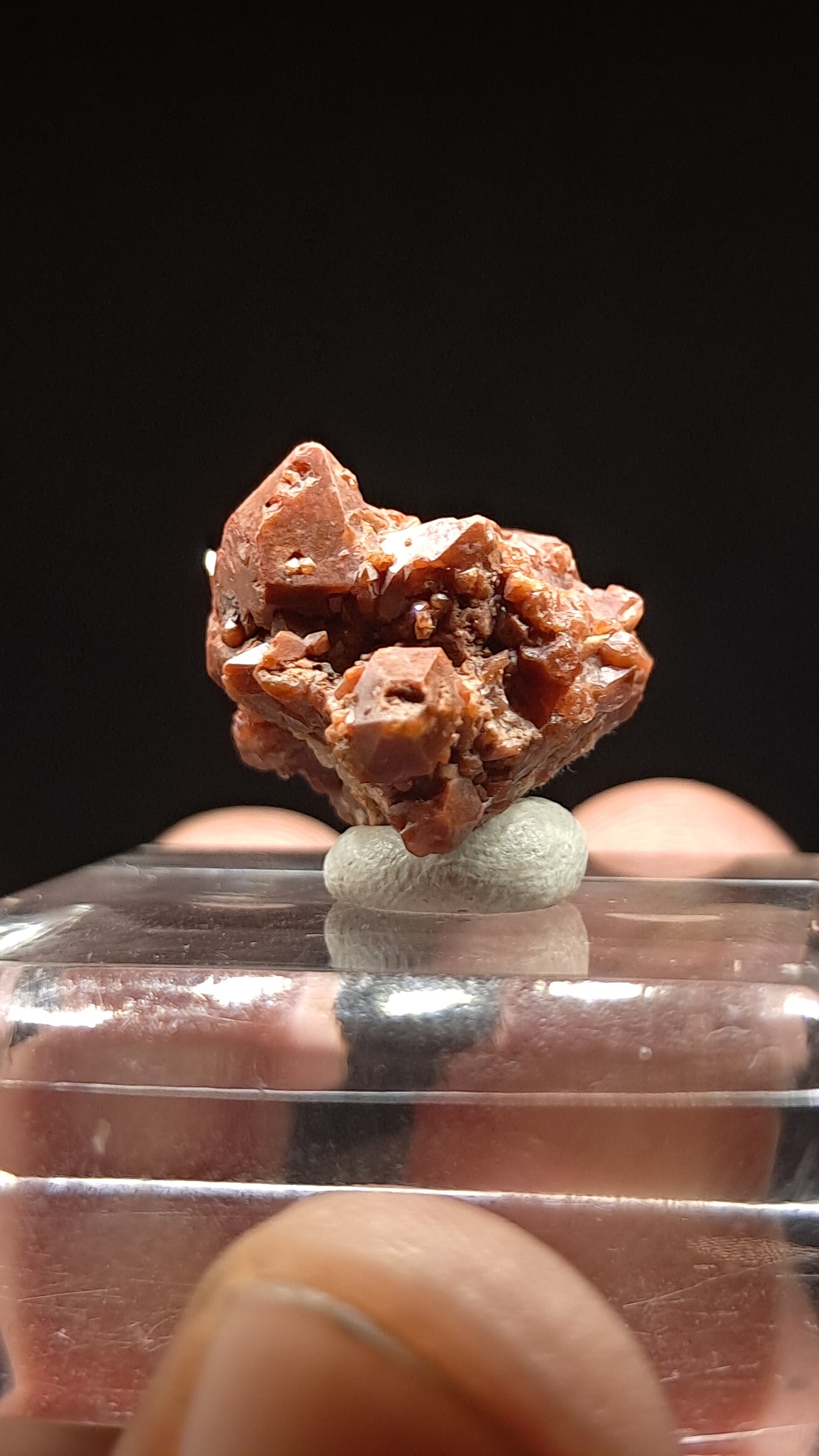 Jacinto de Compostela Quartz On Matrix | Natural Crystal | Mineral Specimen #JCQ4