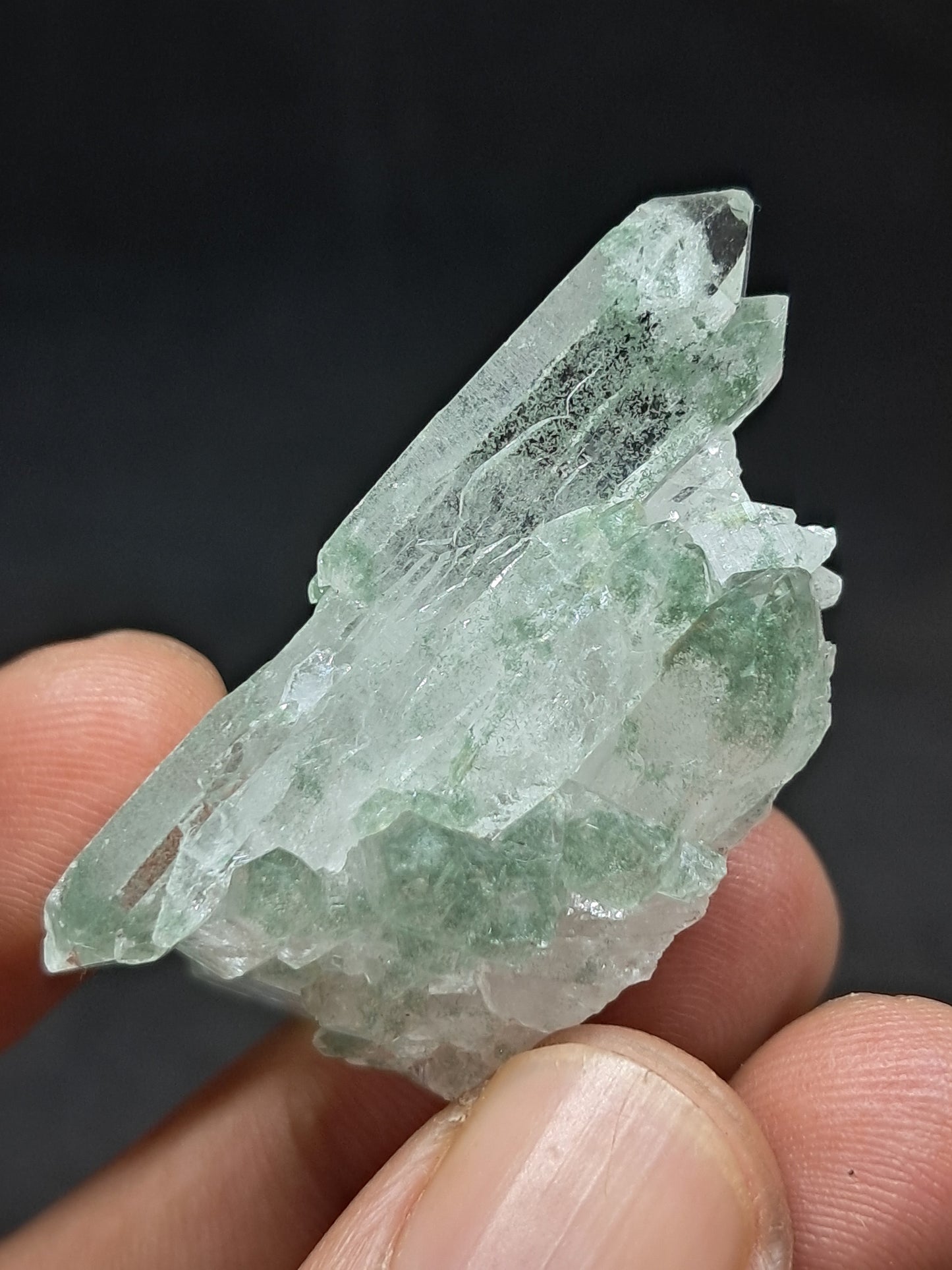 Himalayan Quartz Chlorite Phantom Cluster | Biterminated Crystals | #CH59