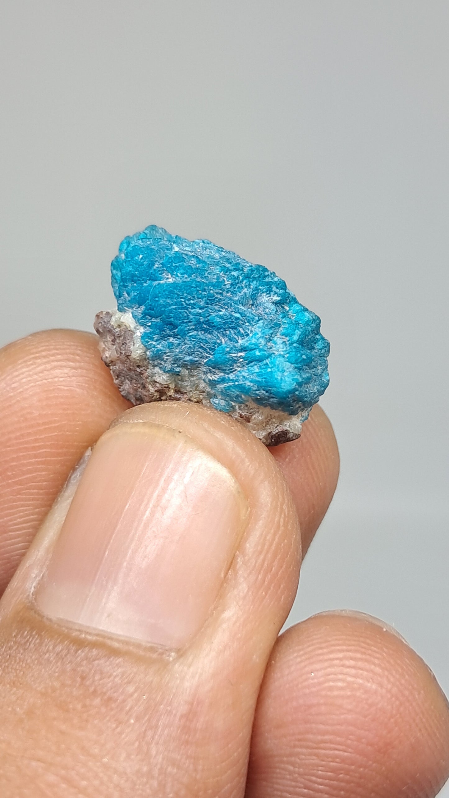 Cavansita sobre matriz (Wagholi) Cristal en bruto | Piedra natural | Ejemplar de mineral raro #CV64