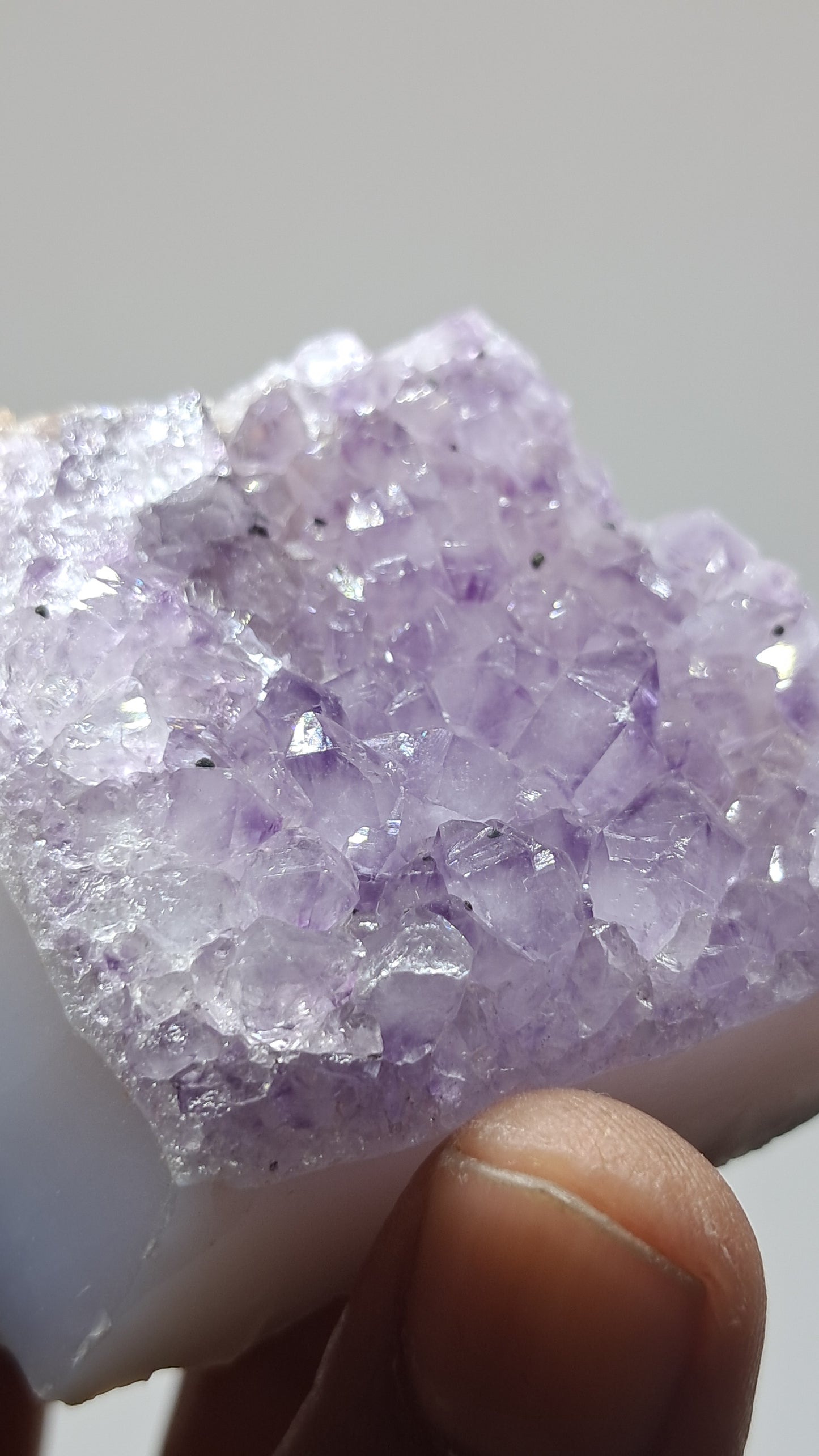 Amatista lavanda morada (Brasil) | Drusa natural | Espécimen mineral #AMB10