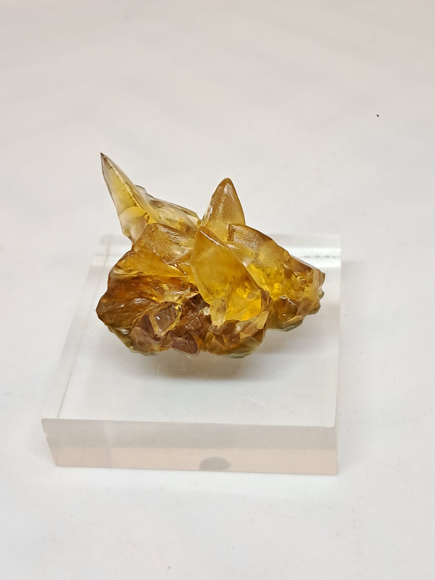 Calcita amarilla miel (Maharashtra) Formación de diente de perro | Cristal natural | Ejemplar mineral n.° CA25