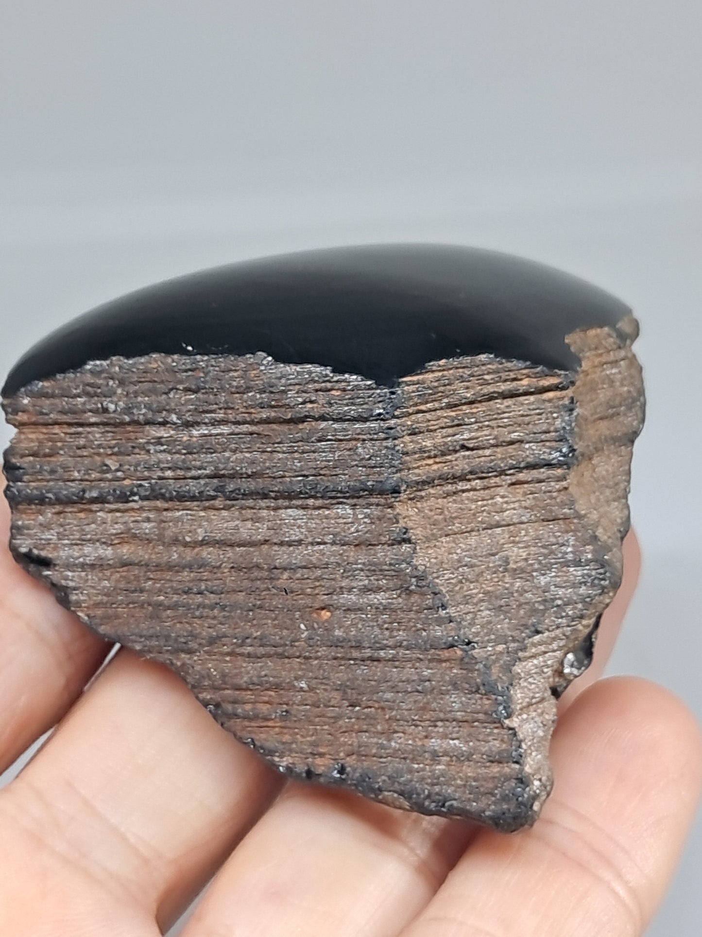 Rainbow Obsidian (Mexico) Natural Stone | Half Polished Half Rough #RO9