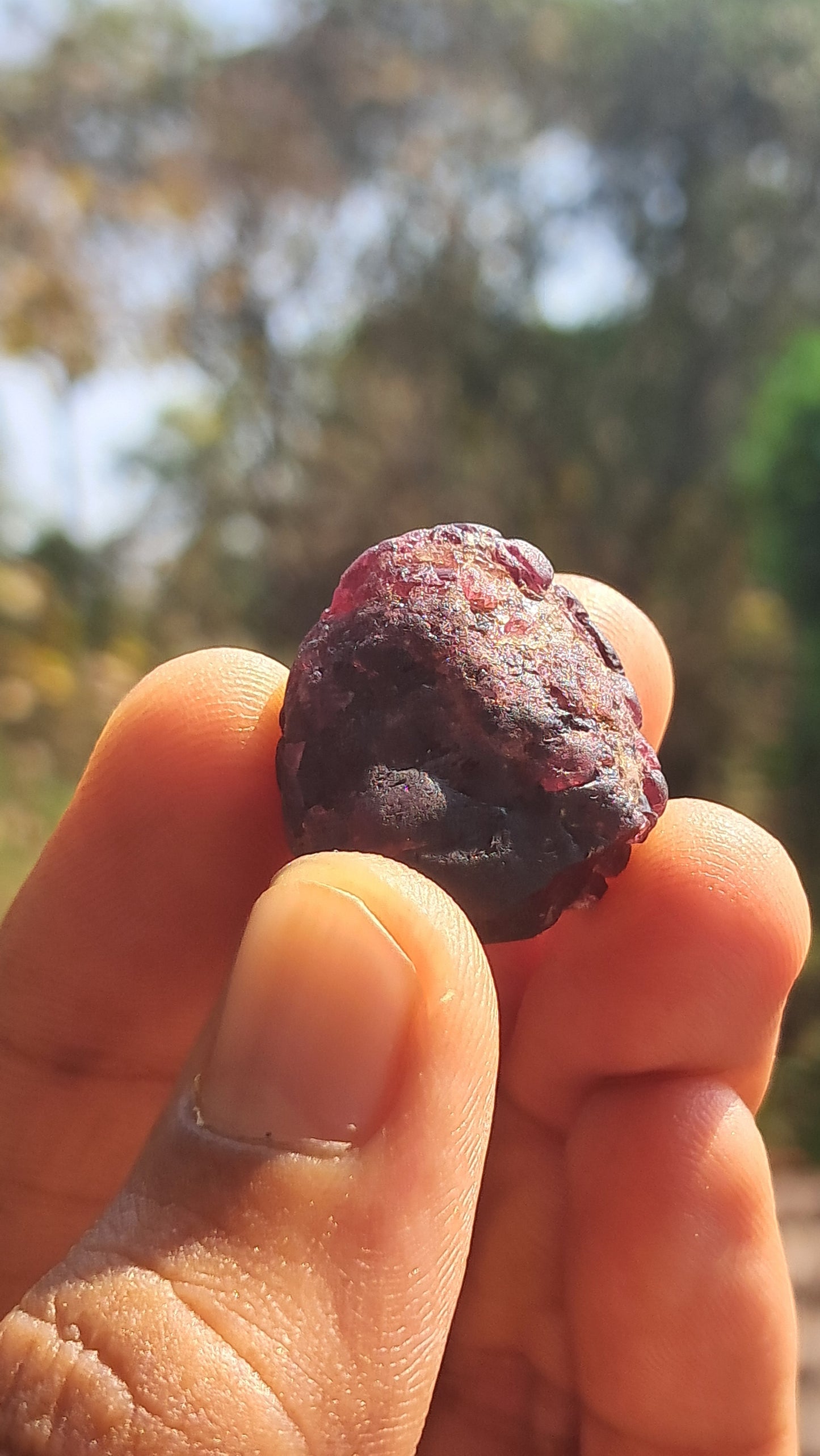 Red Garnet (Karur) | River worn | Natural Stone #RG1