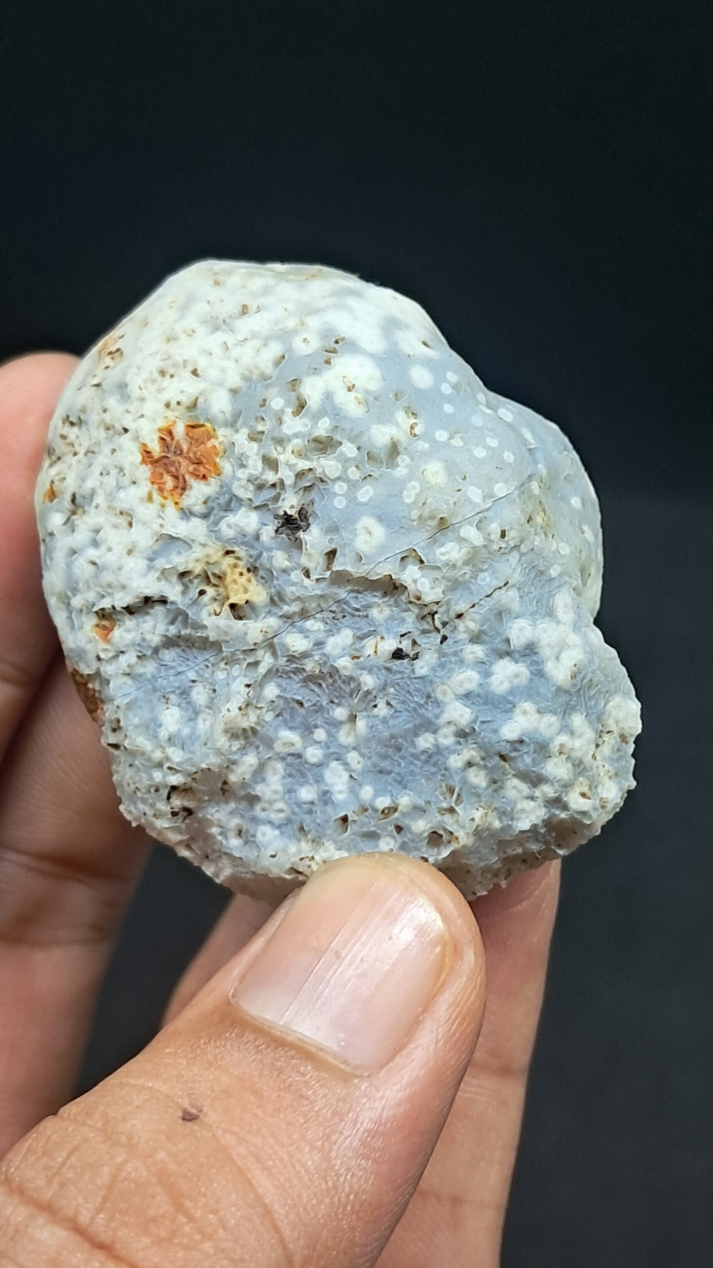 Amethyst Geode (Ajanta) | Deep Cavity | Natural Crystal | Rough Stone #GD37