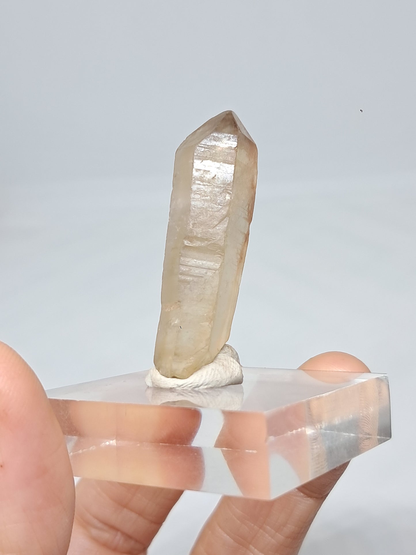 Natural Citrine Crystal Point (Democratic Republic of Congo) #CTN33
