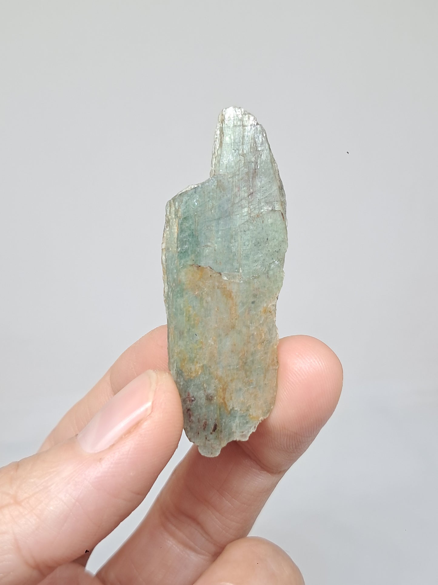 Set of 4 Green Kyanites (Tamil Nadu) Natural Crystals #KY10