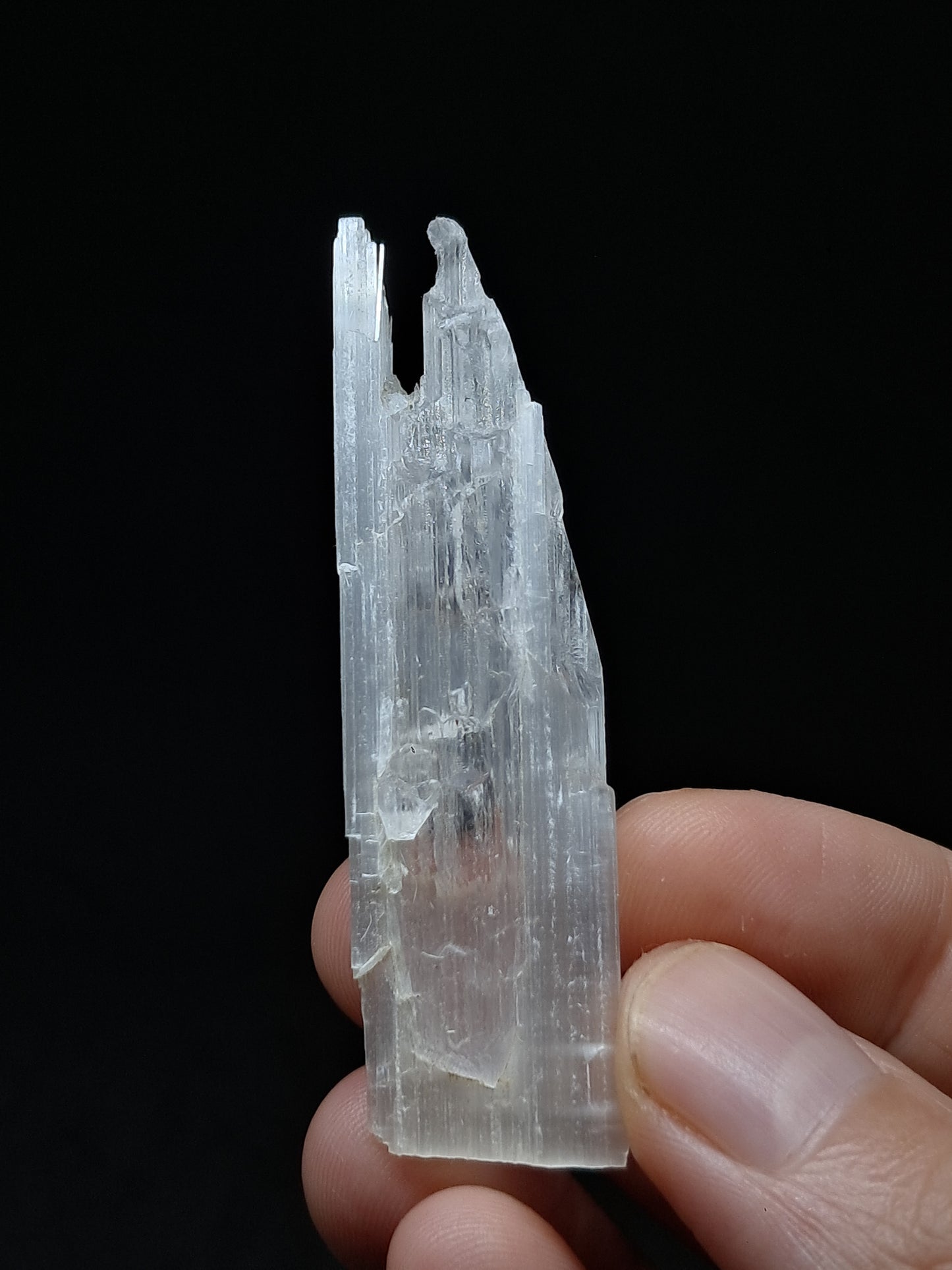 Satin Spar *Selenite* (India) Fibrous Gypsum | Mineral Specimen | Rough Crystal #SE5