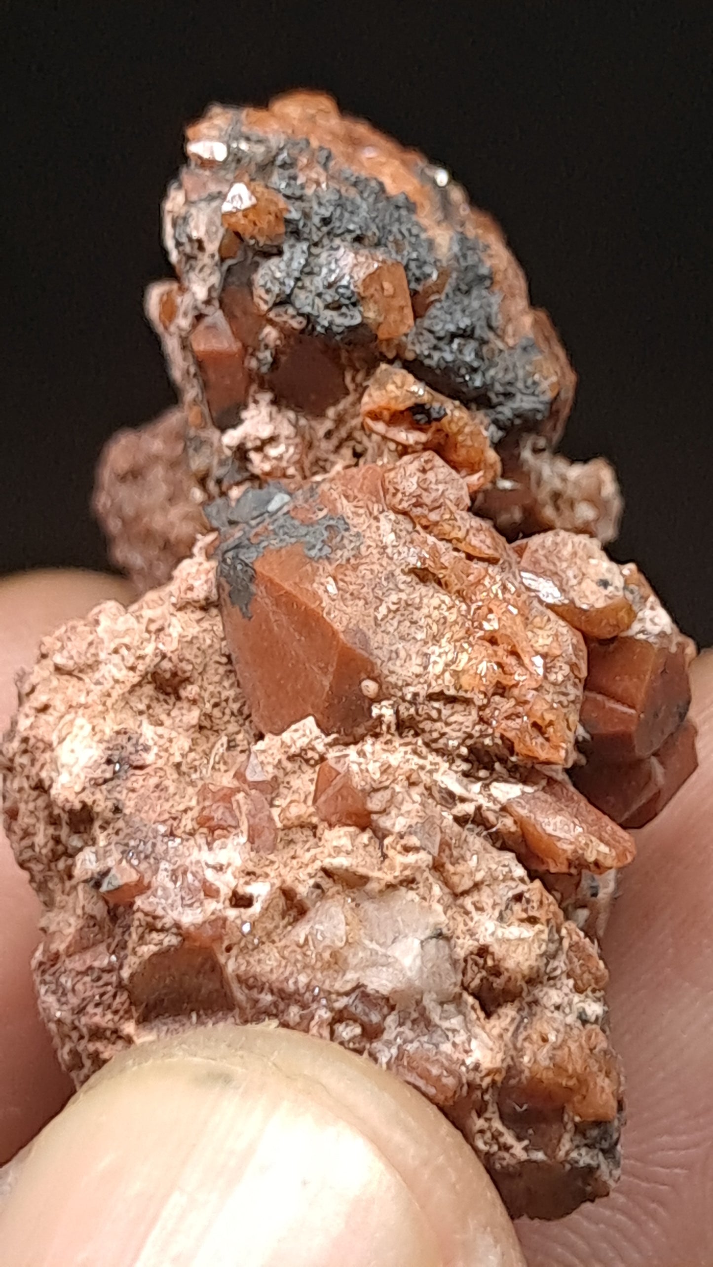 Jacinto de Compostela Quartz Cluster On Matrix | Natural Crystal | Mineral Specimen #JCQ7