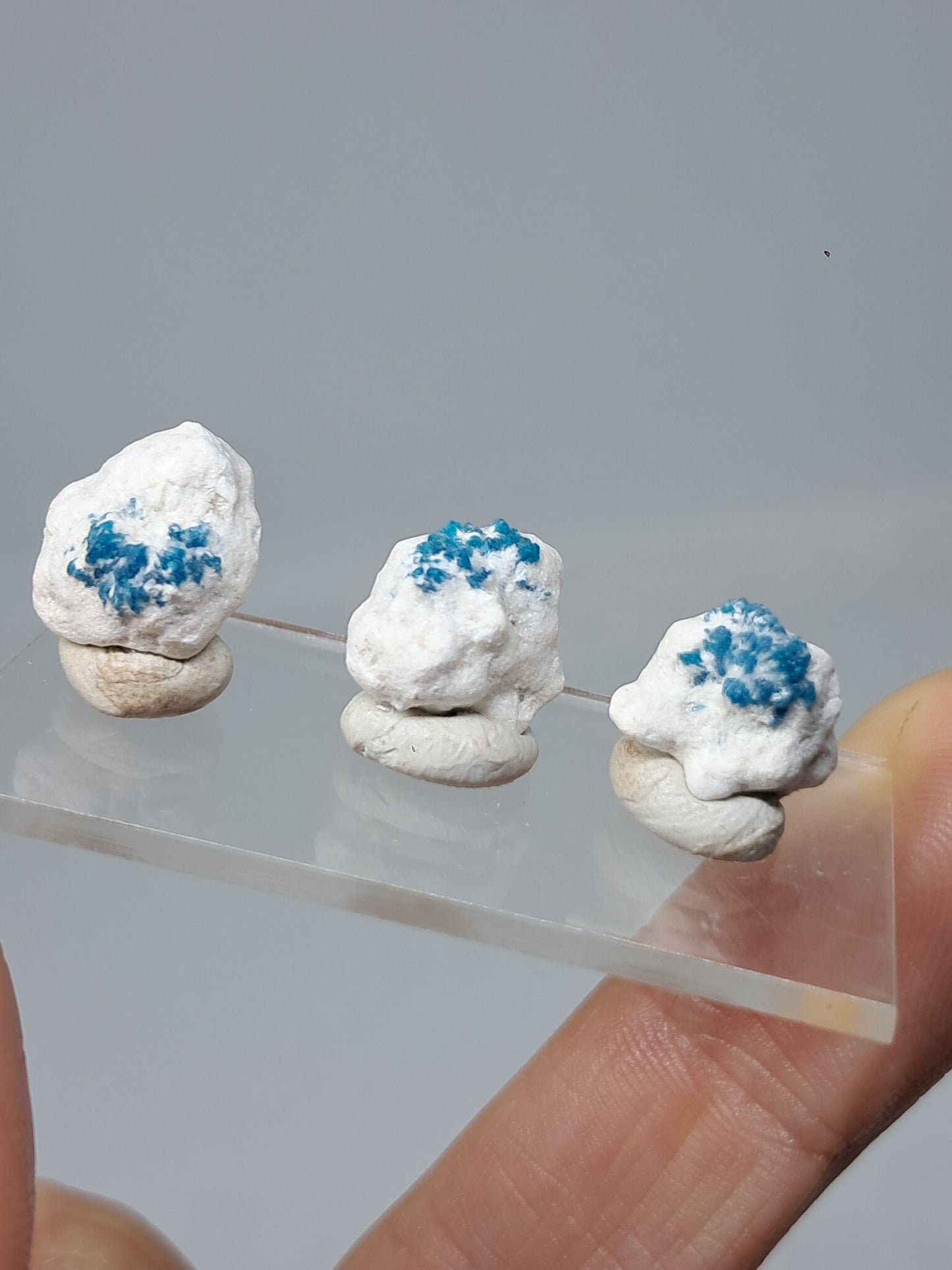 Conjunto de 3 pequeñas cavansitas en matriz de okenita (wagholi) en bruto | Cristal natural | Ejemplar mineral raro n.° CV38
