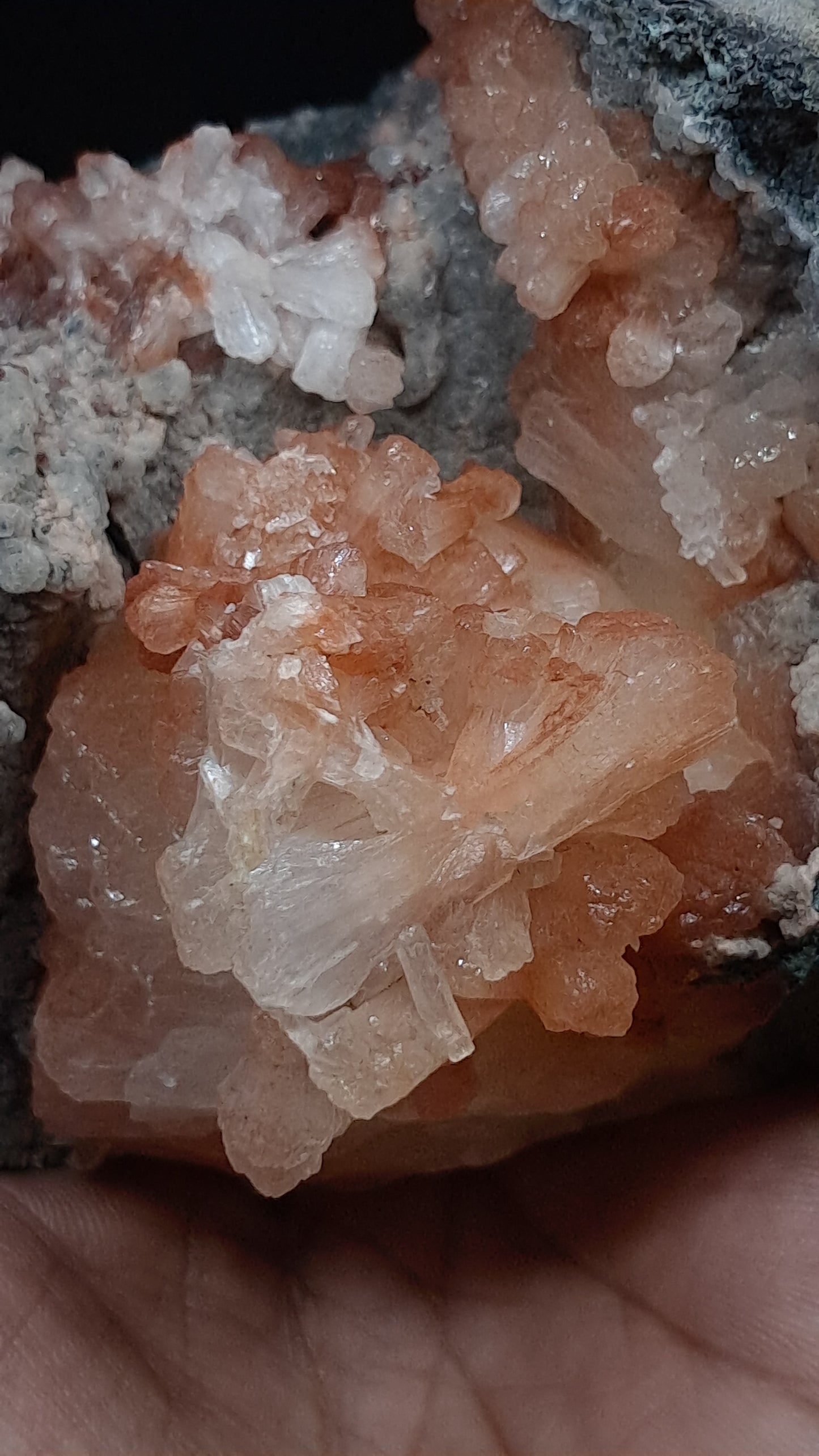 Peach Stilbite-Ca In Basalt (Ajanta) | Large Bow, Fan & Sheaf Crystal Aggregates | Self-standing #ZL29
