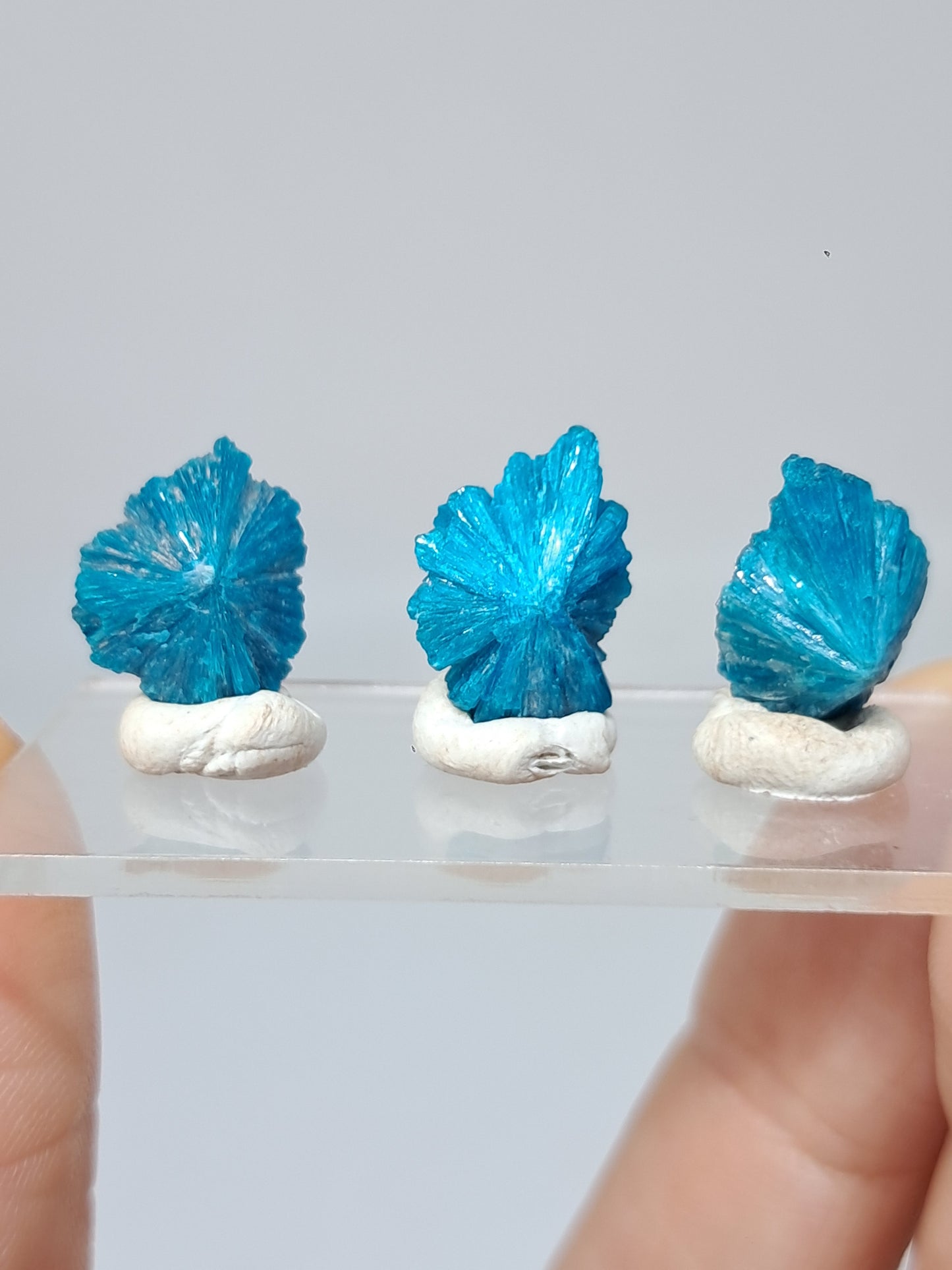 Juego de 3 flores de cavansita de alta calidad (wagholi) en bruto | Cristal natural | Ejemplar mineral raro n.° CV44