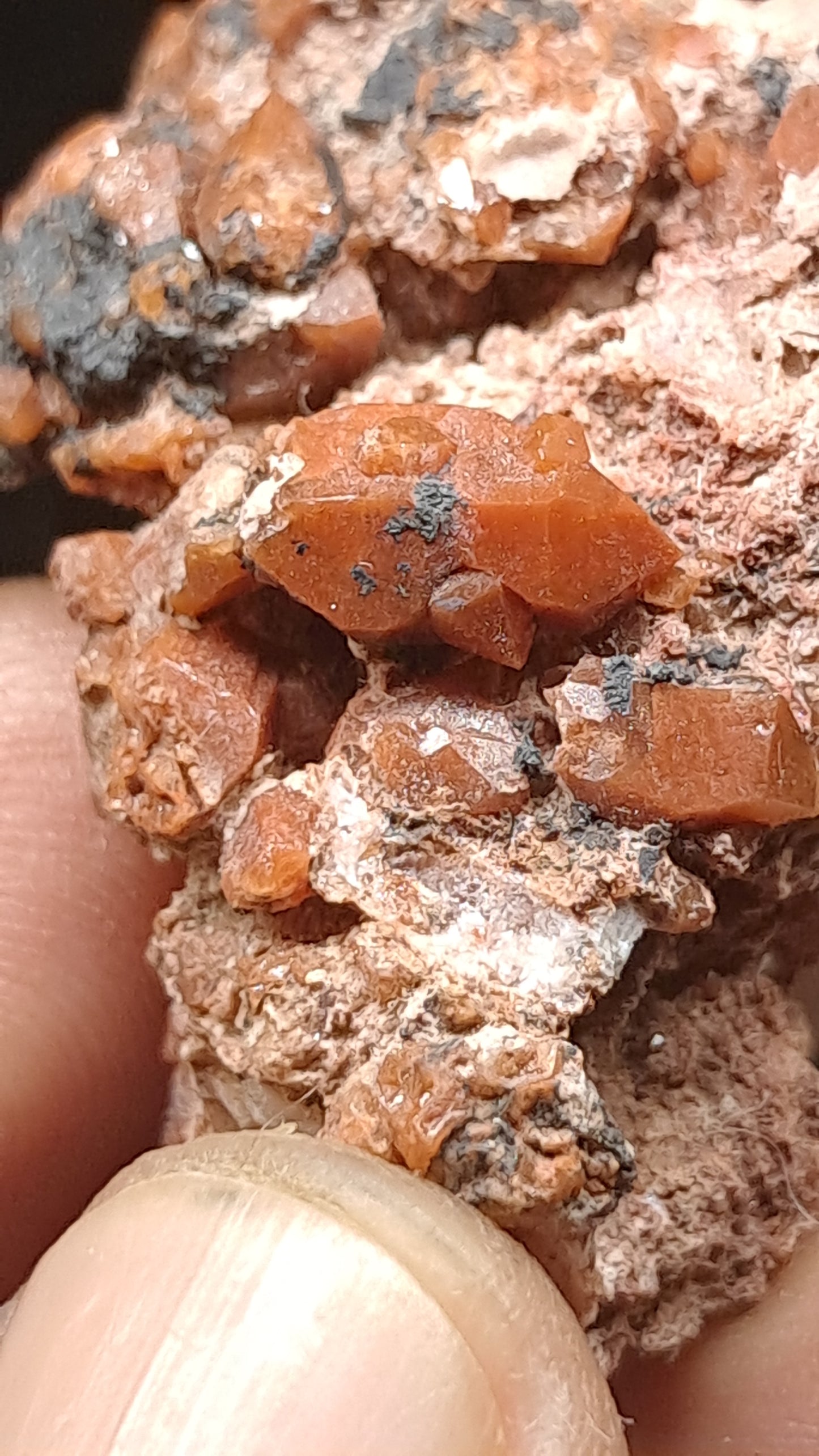Jacinto de Compostela Quartz Cluster On Matrix | Natural Crystal | Mineral Specimen #JCQ7