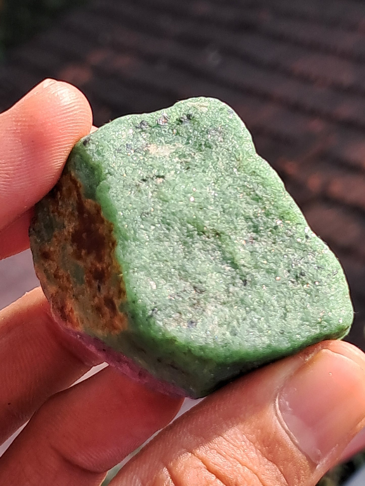 Ruby Zoisite w/ Hornblende (Tanzania) Rough Stone | Natural Specimen #RZ10