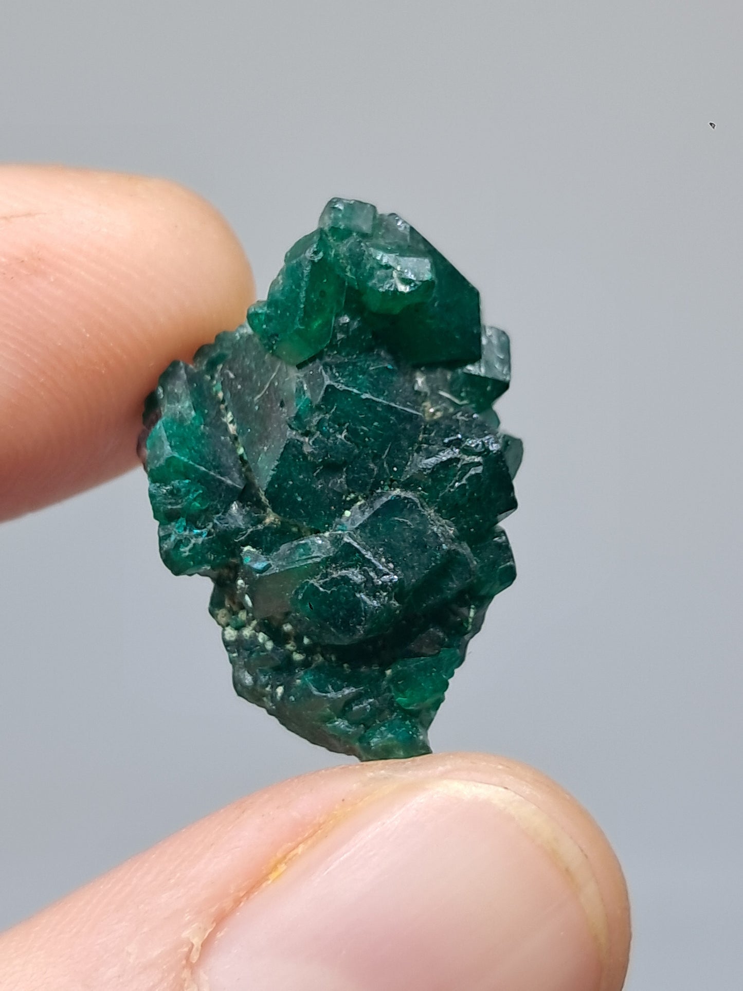 Cúmulo natural de dioptasa (República Democrática del Congo) | Cristal en bruto | Ejemplar mineral n.° DPT3