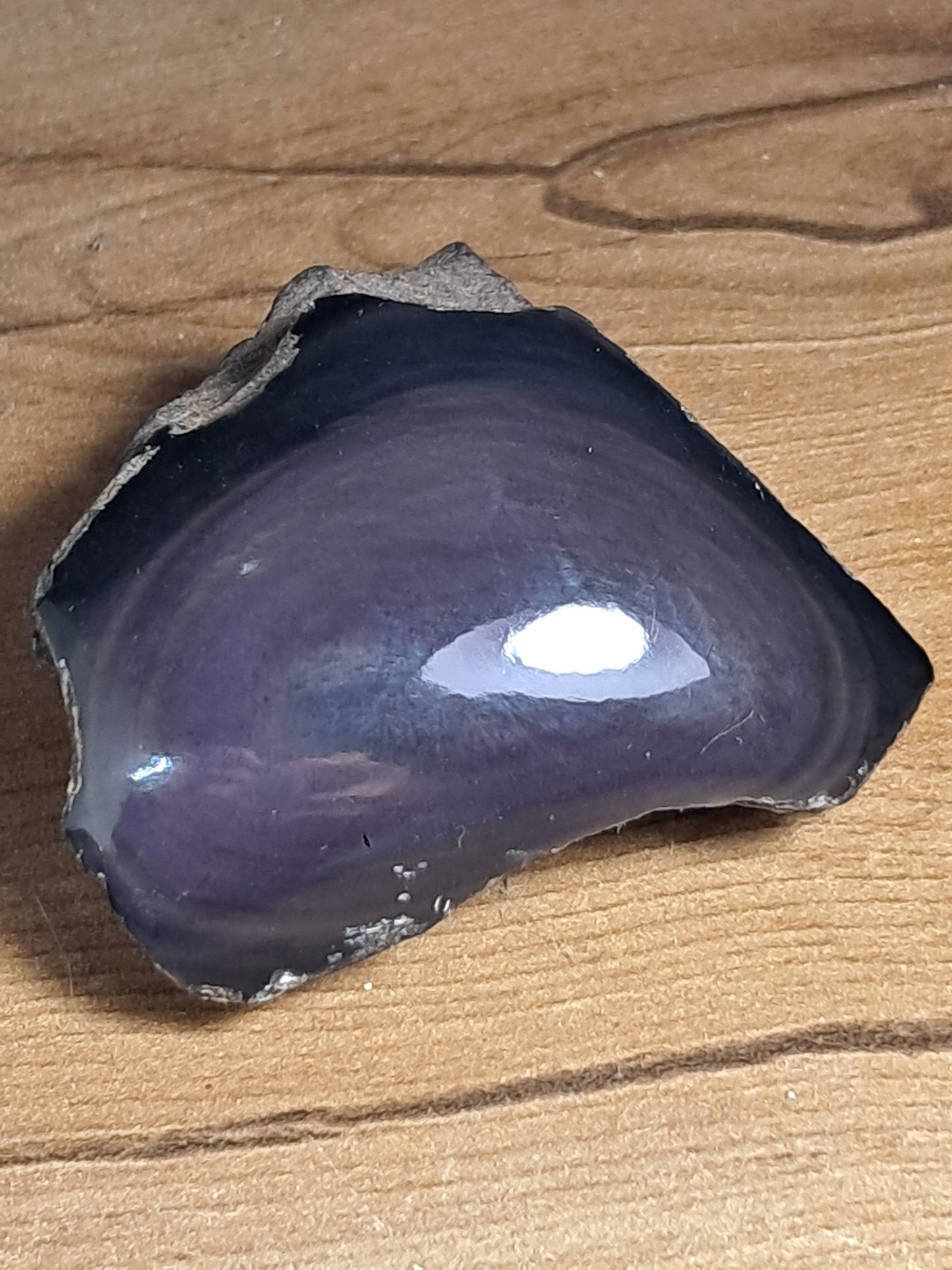 Rainbow Obsidian (Mexico) Natural Stone | Half Polished Half Rough #RO9