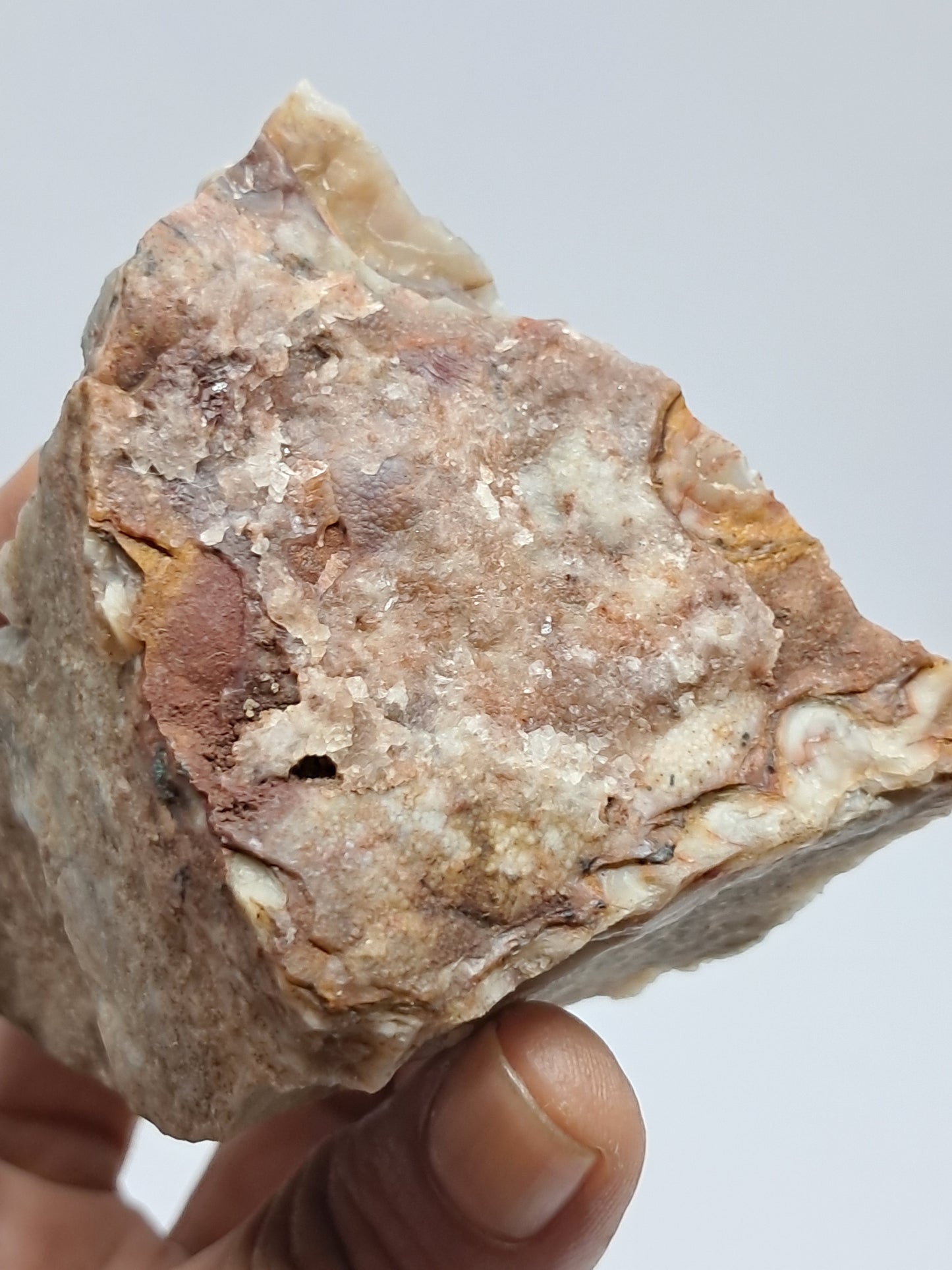 Crazy Lace Agate Rough | Natural Stone | Mineral Specimen #CLA2