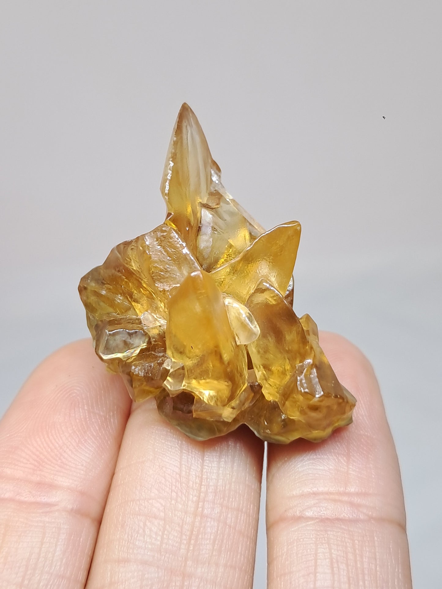 Calcita amarilla miel (Maharashtra) Formación de diente de perro | Cristal natural | Ejemplar mineral n.° CA25