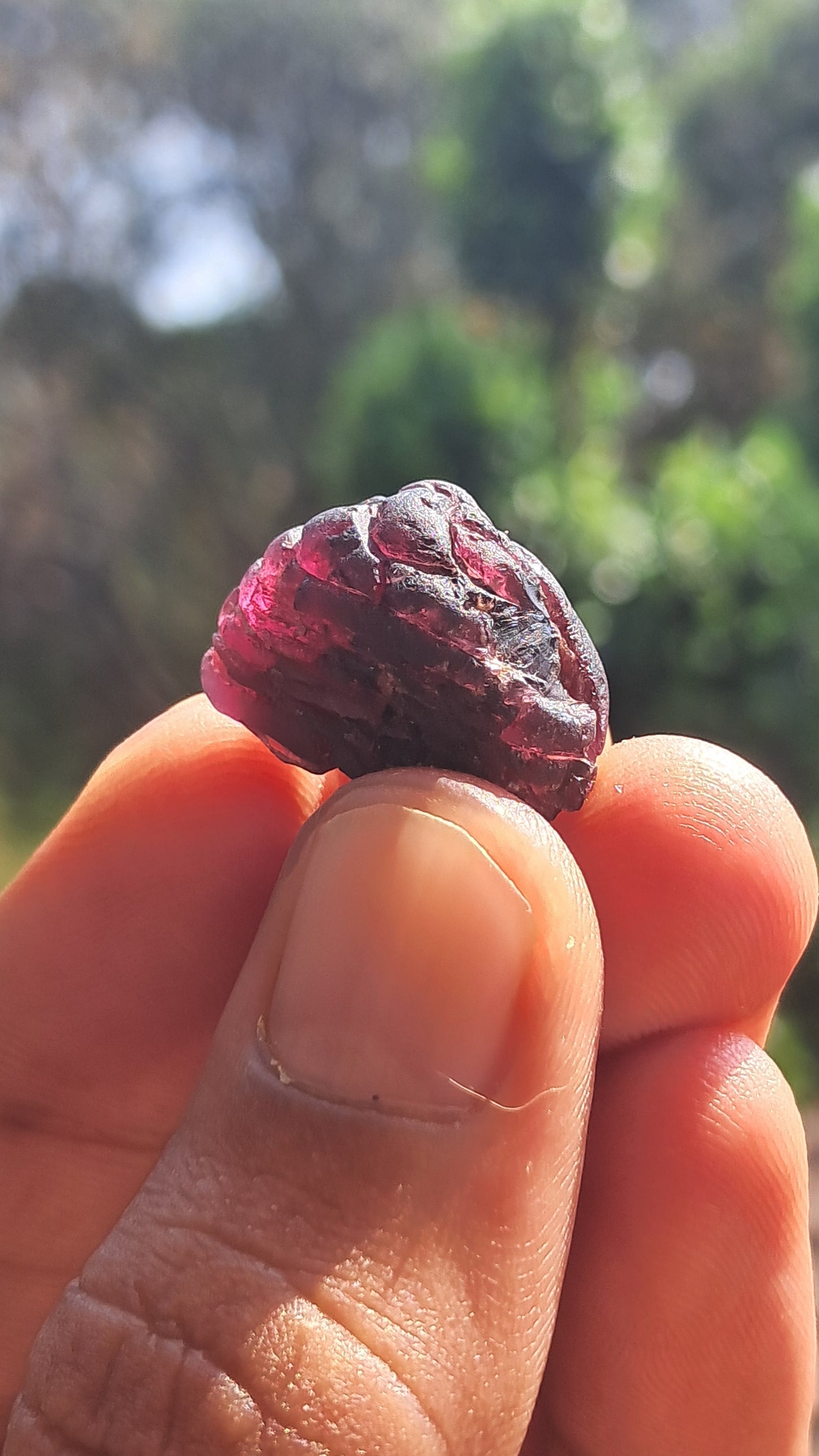 Granate Rojo (Karur) | Pulido por el río | Piedra Natural #RG6