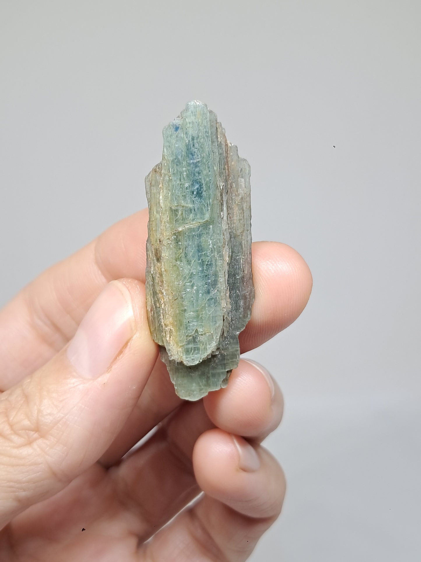 Set of 4 Green Kyanites (Tamil Nadu) Natural Crystals #KY10