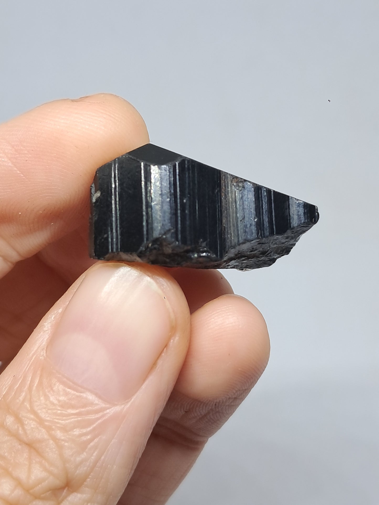 Black Tourmaline Crystal (Karnataka) Naturally Terminated | Natural Stone | Mineral Specimen #BT7