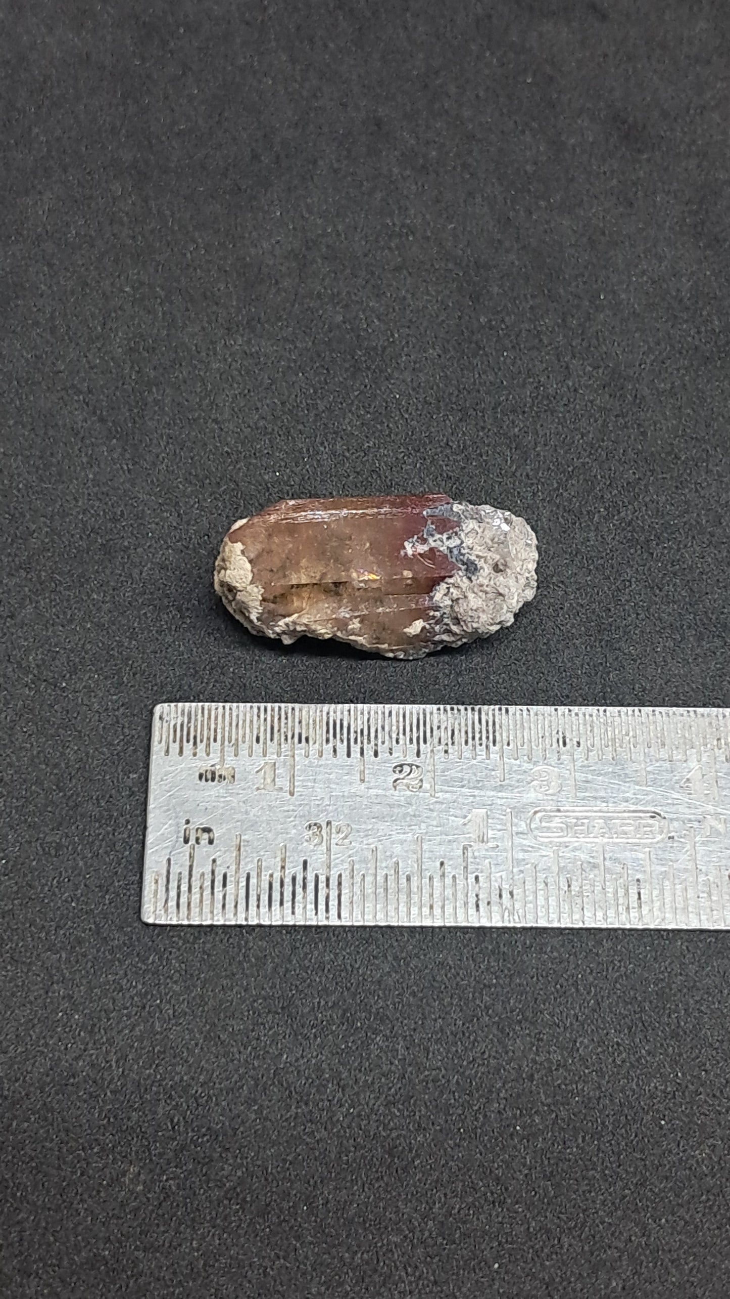 Natural Topaz Crystal (Mexico) Orange Champagne Colour zoning | Rare Gemstone | Mineral Specimen #TPZ42