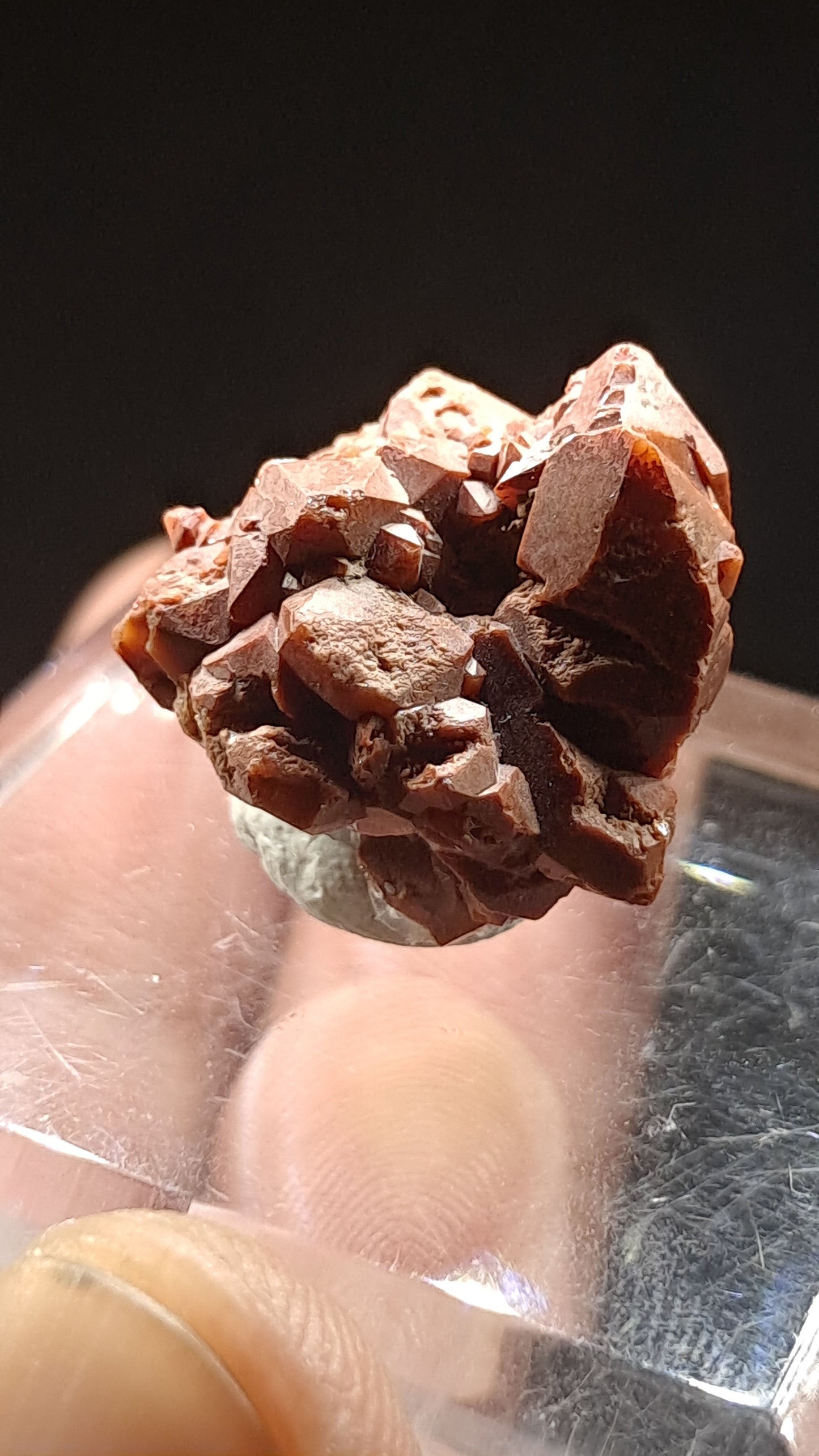Jacinto de Compostela Quartz On Matrix | Natural Crystal | Mineral Specimen #JCQ4