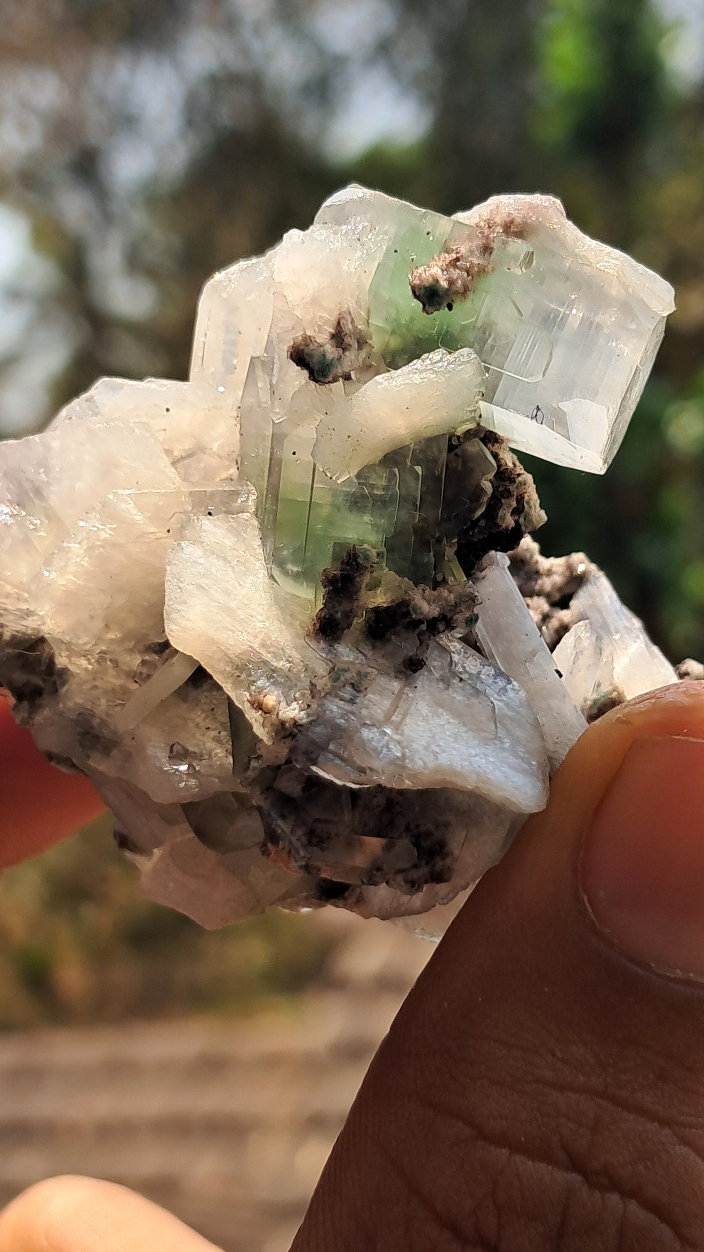Apofilita Verde (Fluorapofilita) con Estilbita sobre Matriz (Ajanta) Cristal Natural | Muestra Mineral #GA18