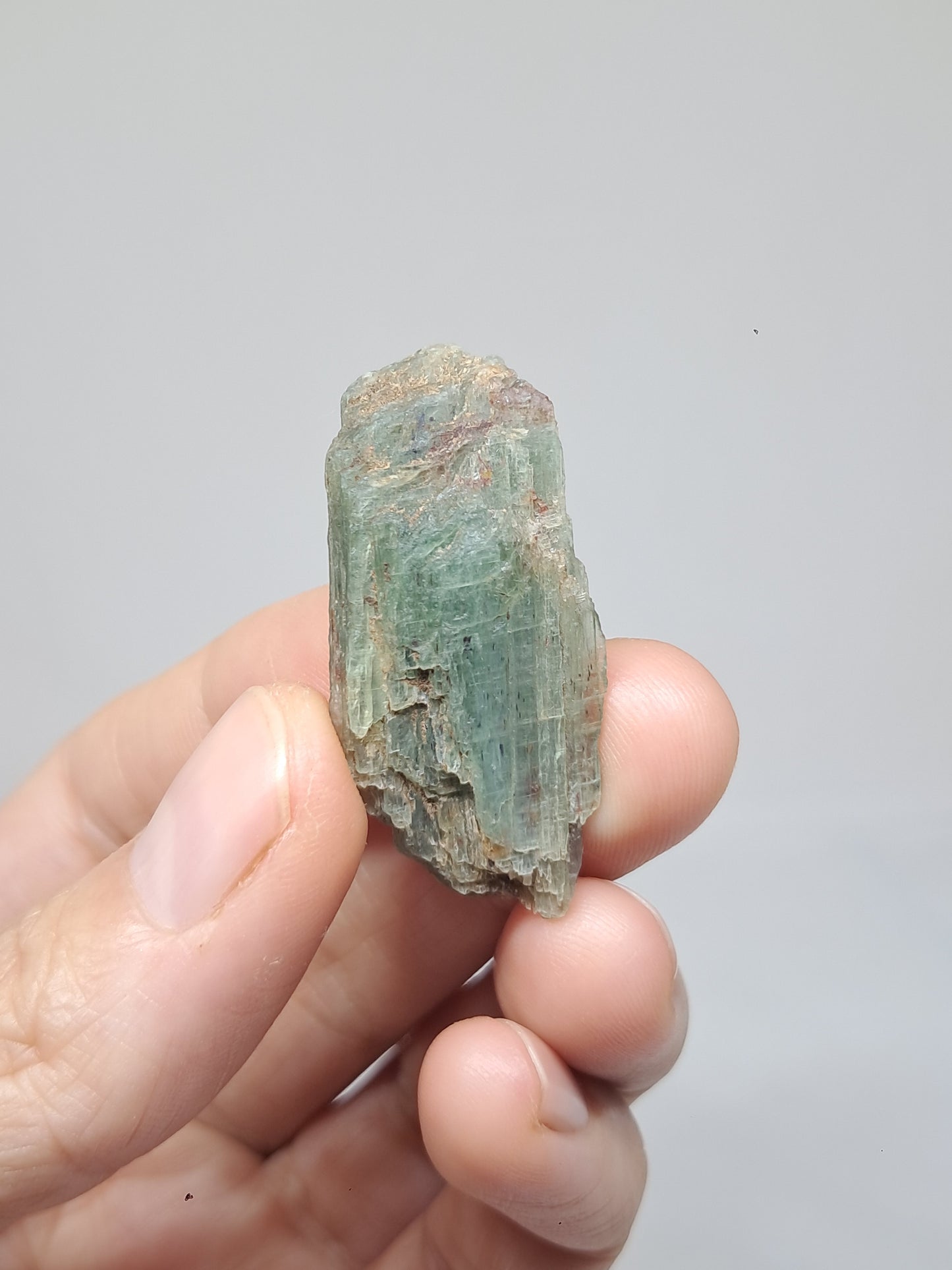 Set of 4 Green Kyanites (Tamil Nadu) Natural Crystals #KY10