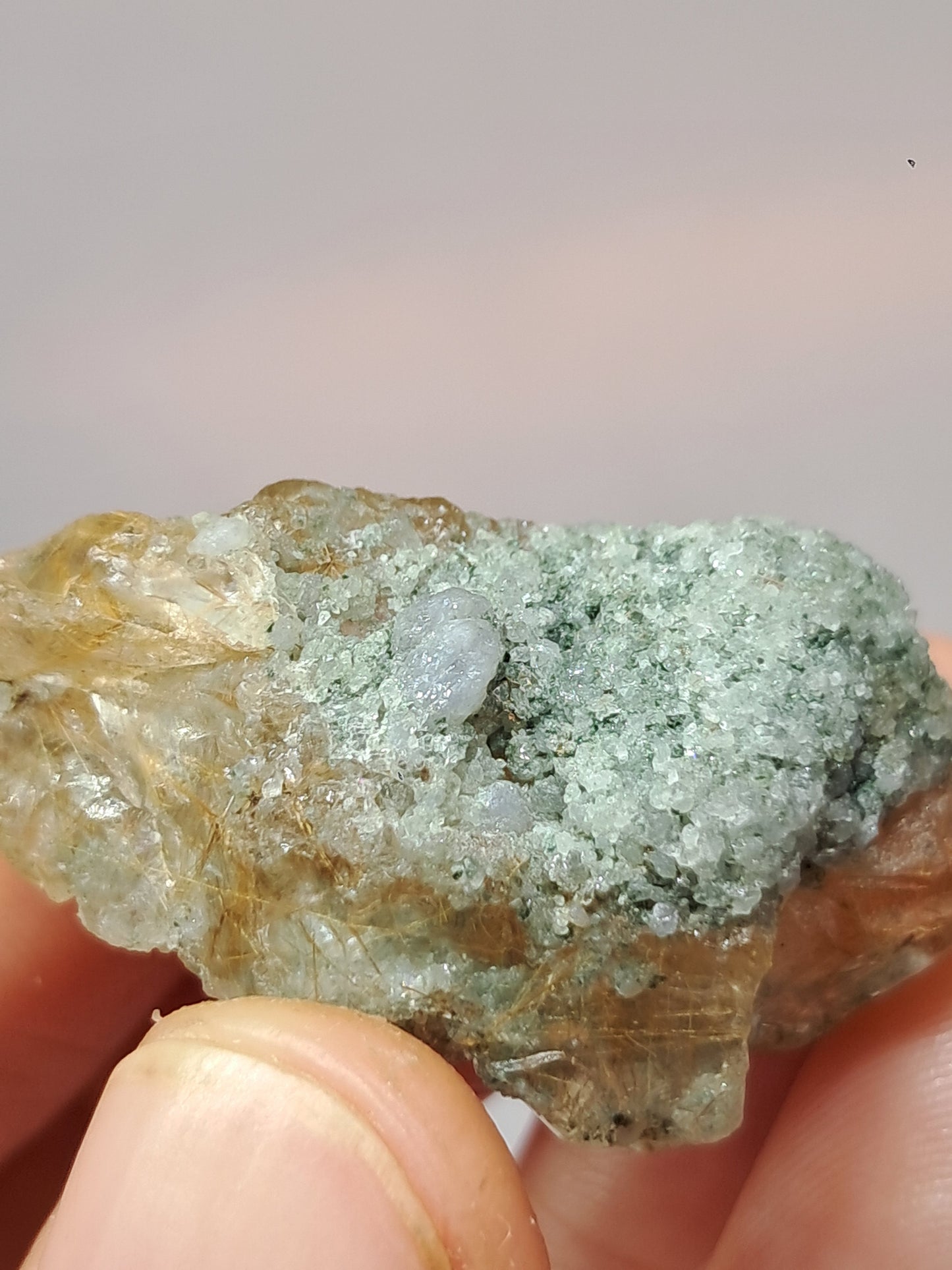 Quartz w/ Chlorite and Golden Rutile Inclusions (Kullu) Rough Stone | Natural Crystal Point | Mineral Specimen #CH42