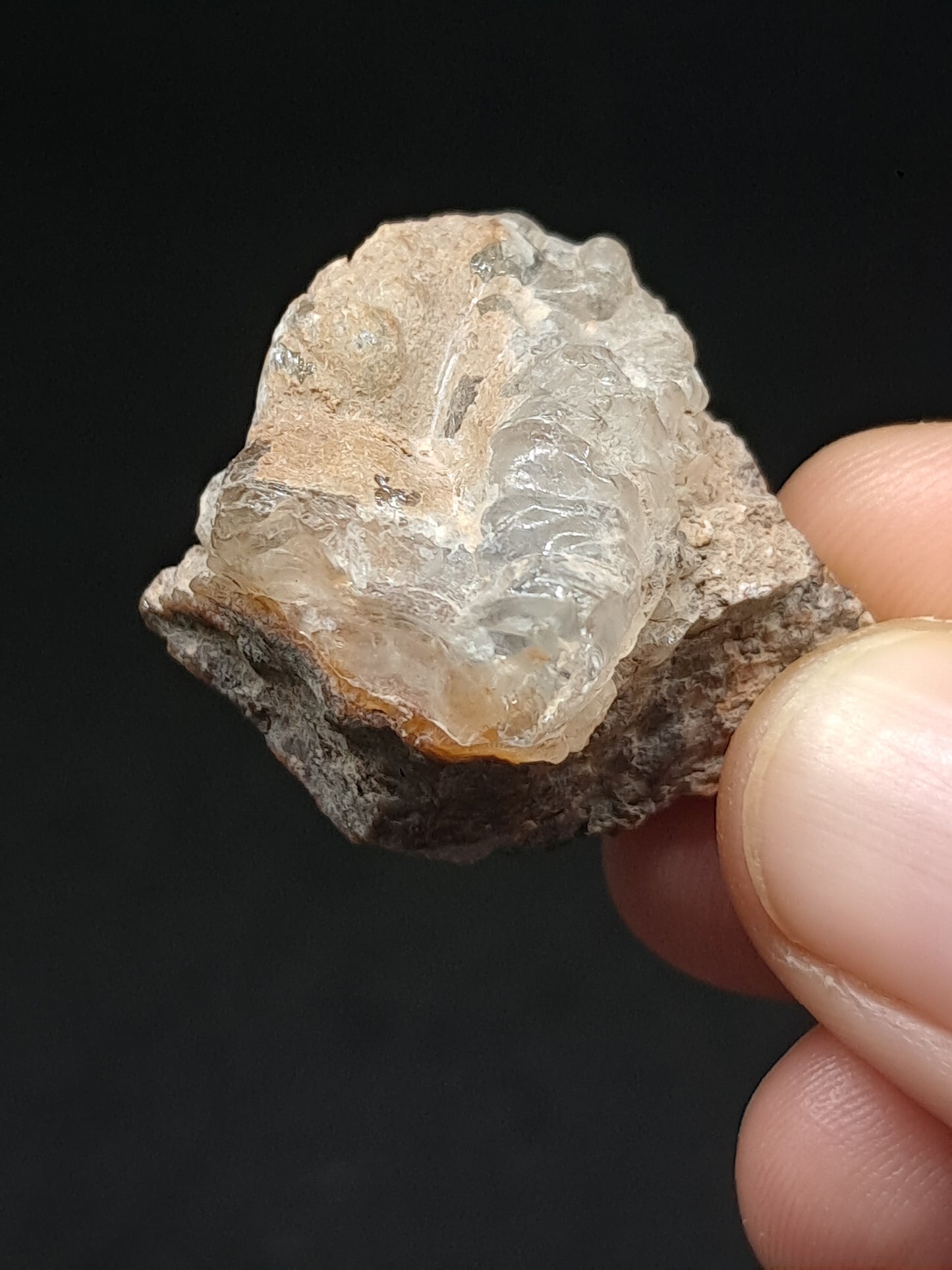 Hyalite Opal on Matrix (Mexico) Rough Crystal Stone | UV-Reactive Mineral Specimen #OH11