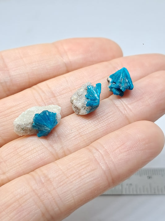 Set of 3 Small Cavansites on Heulandite Matrix (Wagholi) Rough Stone | Natural Crystal | Rare Mineral Specimen #CV37