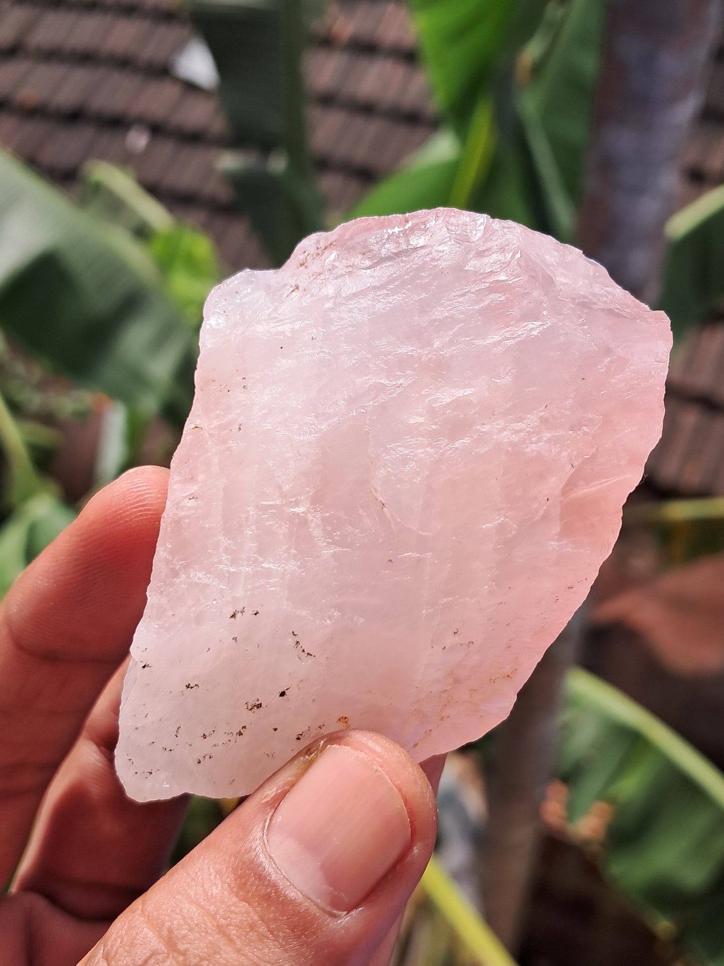 Rose Quartz (Rajasthan) Rough Stone | Natural Gemstone #RQ10