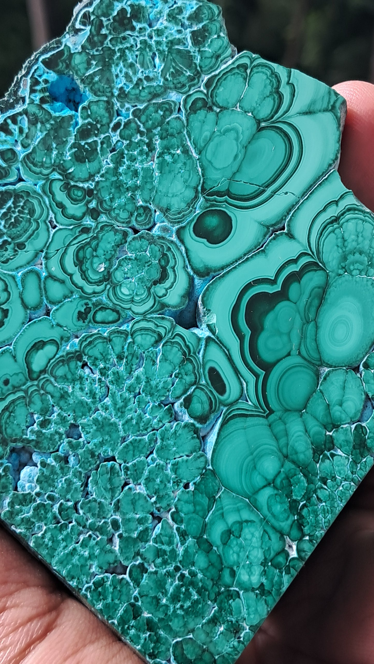 Malachite w/ Chrysocolla | Half Polished Half Rough | Natural Stone | Large Size | Beautiful Patterns #CM27