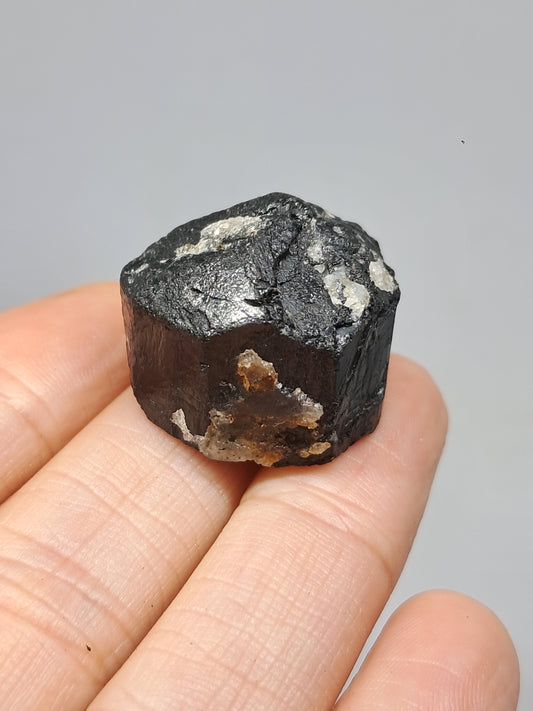 Black Tourmaline Crystal (Karnataka) Naturally Terminated | Natural Stone | Mineral Specimen #BT8