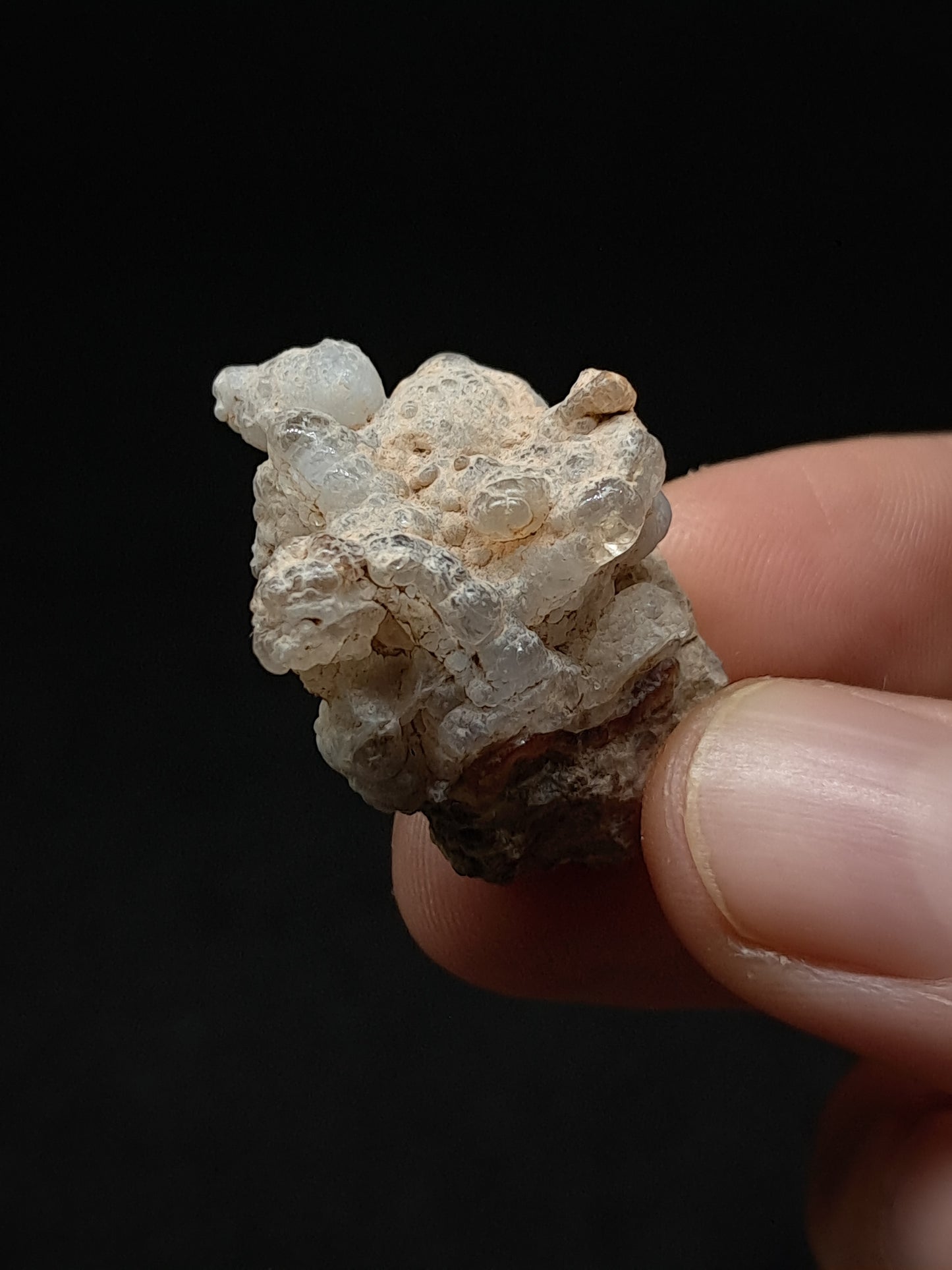 Hyalite Opal on Matrix (Mexico) Rough Crystal Stone | UV-Reactive Mineral Specimen #OH13