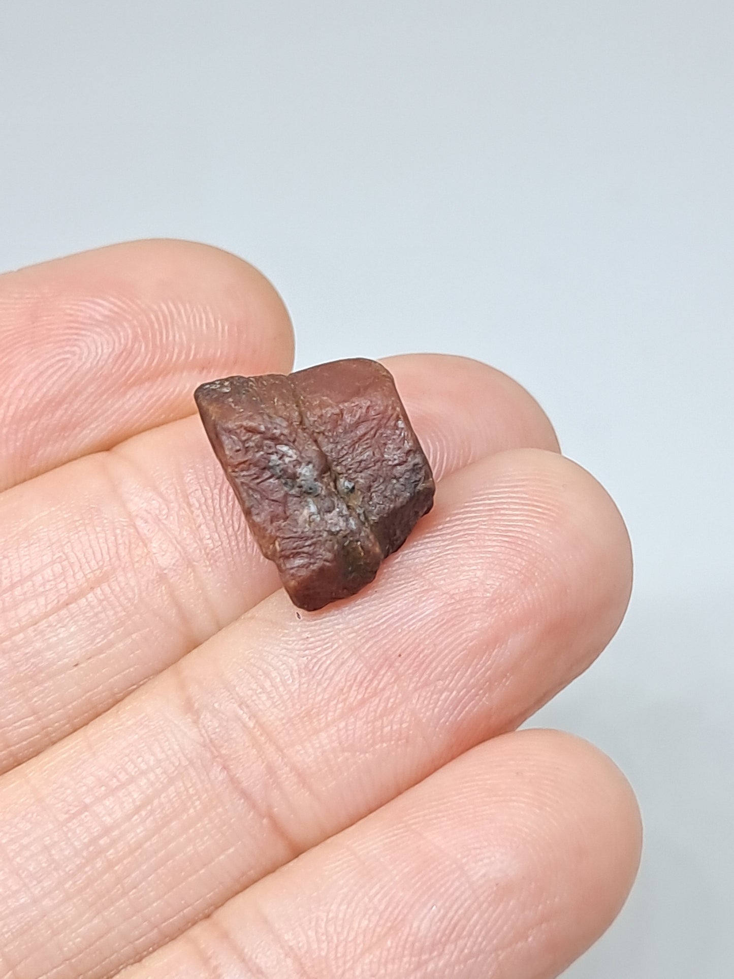Rough Ruby Crystal w/ Record Keeper (Tamil Nadu) Natural Stone | Mineral Specimen #RB17